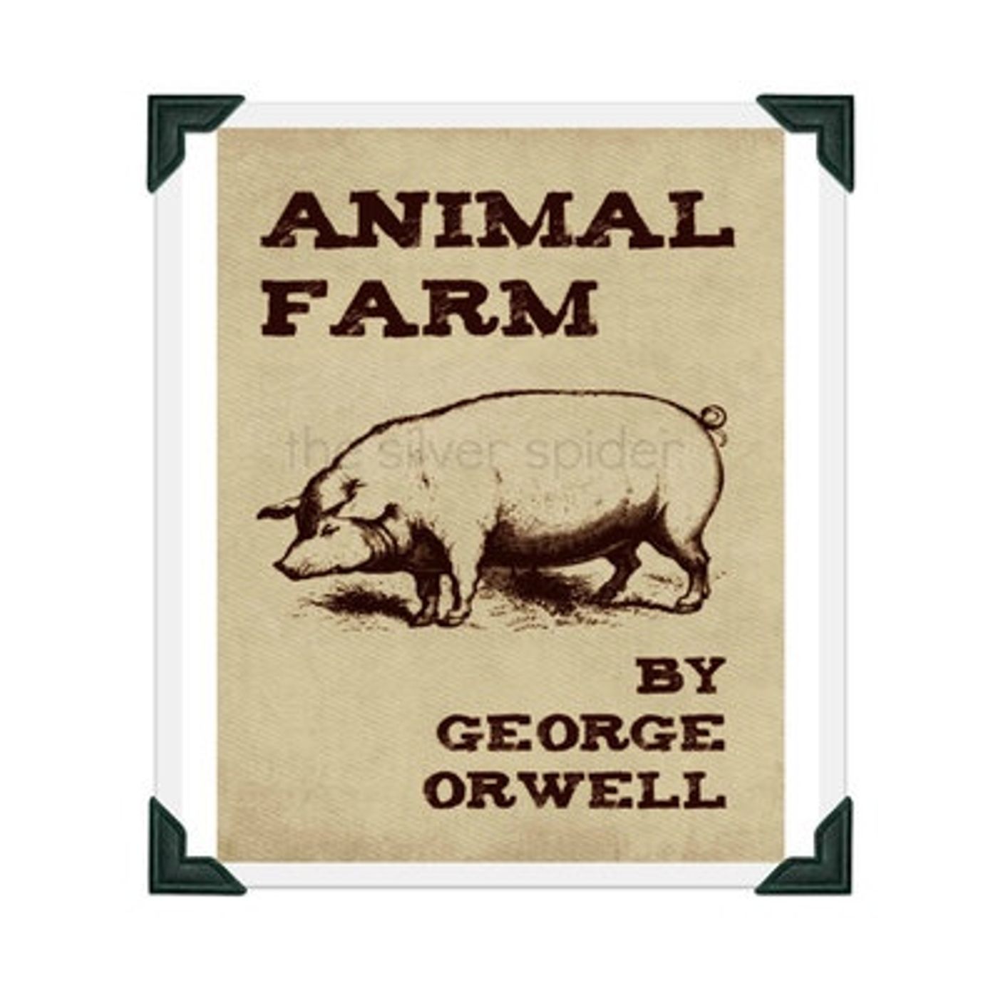 S3- Hey JMS, What Should I Read Next