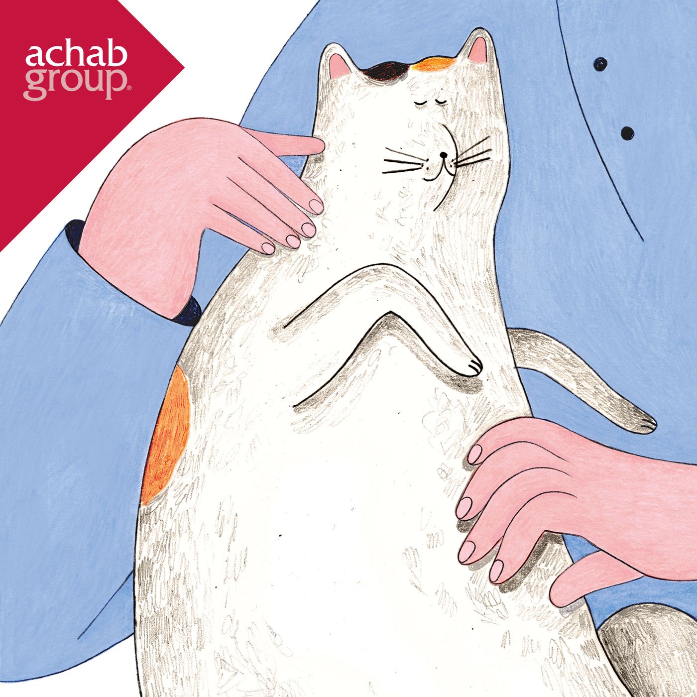 GATTO MATTO. Sostenibilità ambiente e altri misfatti