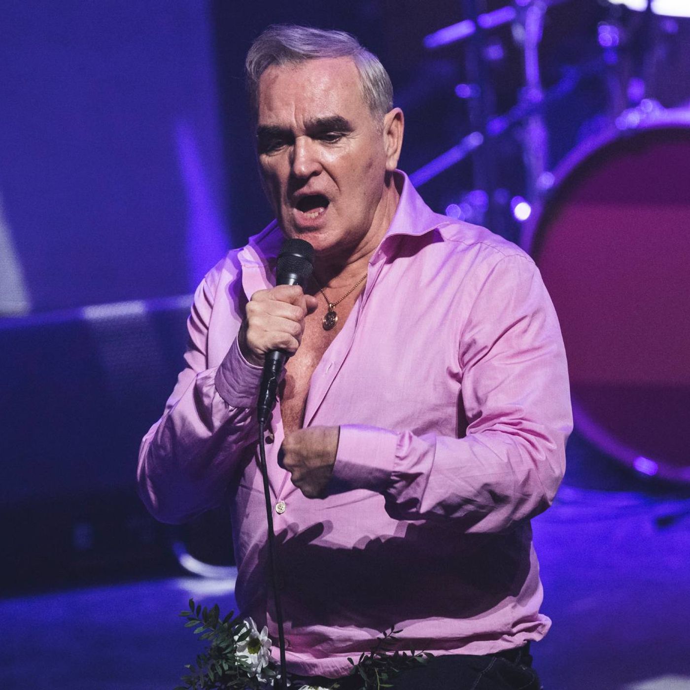 Morrissey’s team reportedly get parody post of ‘The Malefactors’ enemy list taken down, R.E.M.’s Mike Mills responds to being listed episode artwork