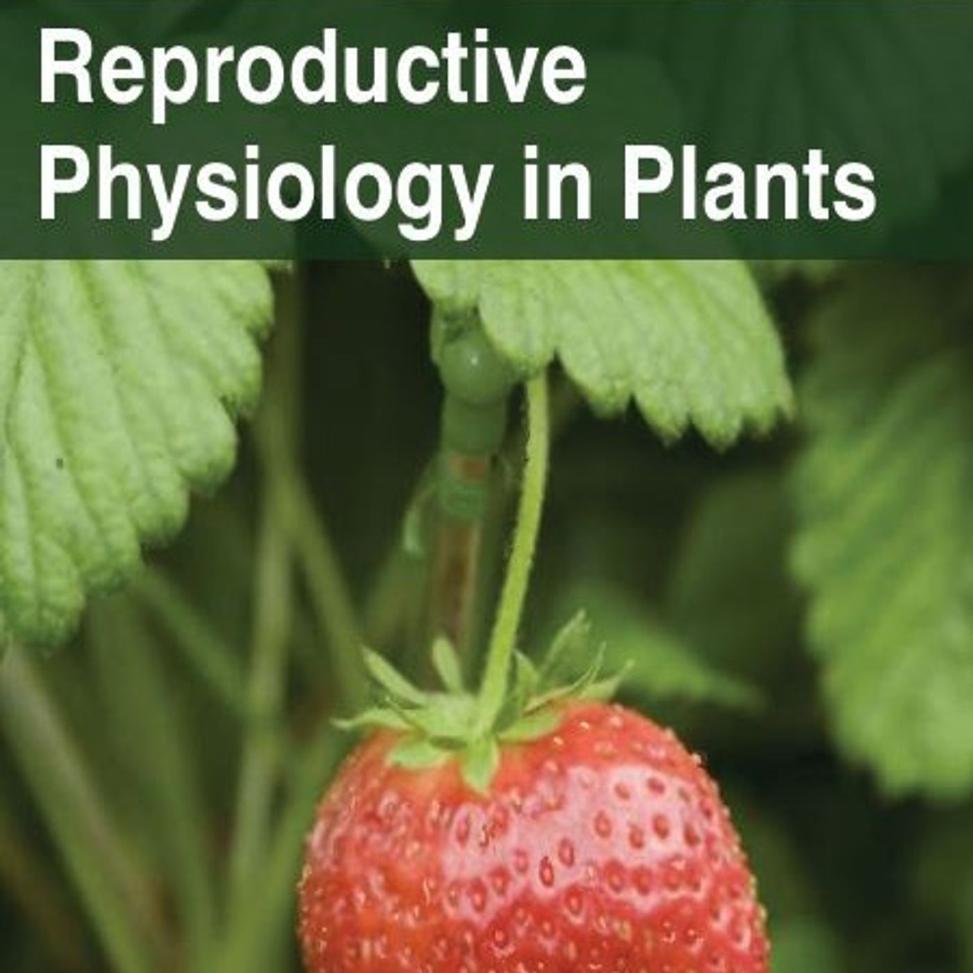Reproductive Physiology in Plants