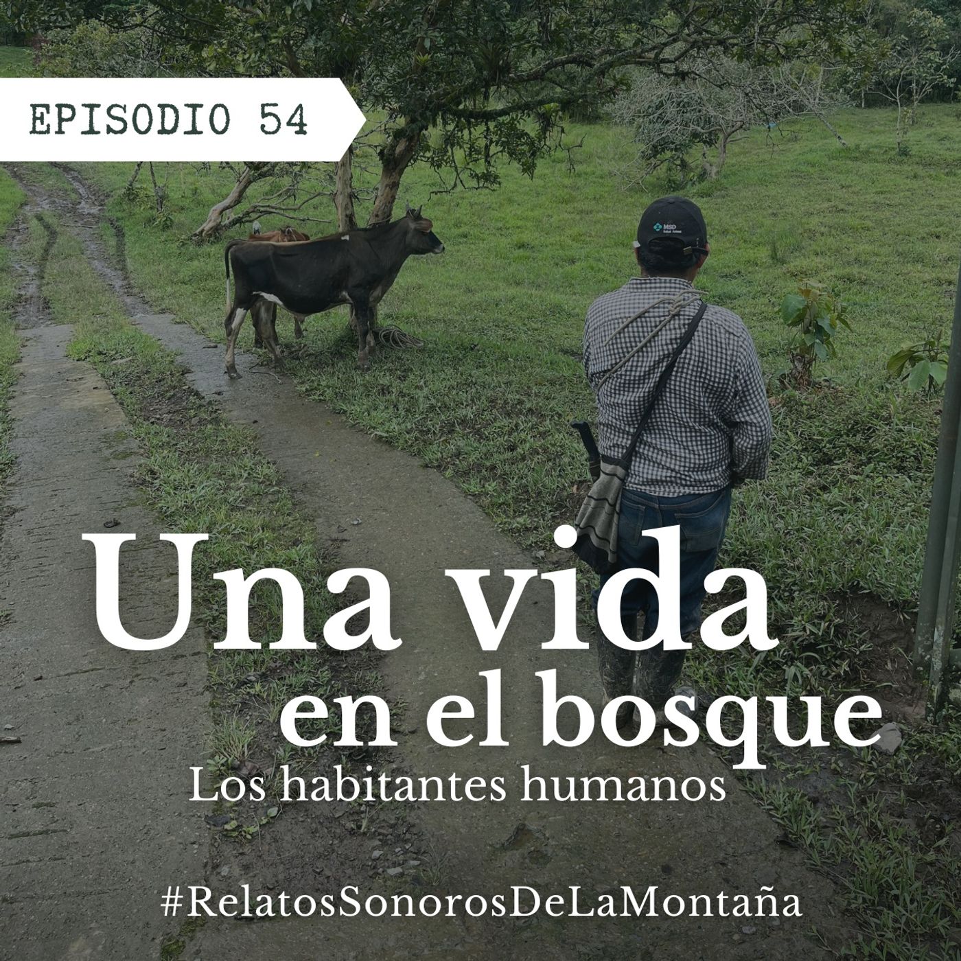 Ep. 54 Una vida en el bosque - Los habitantes humanos