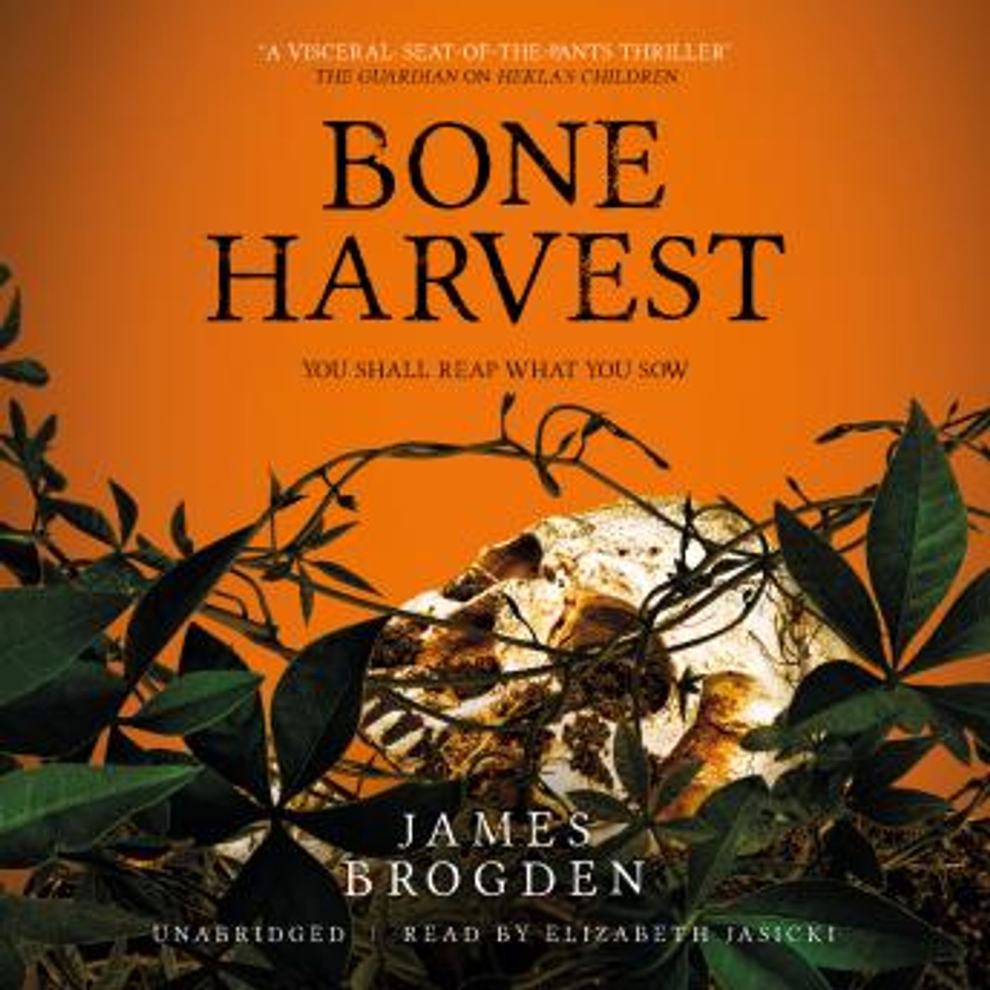 Download Incredible Full Audiobooks in Mystery, Thriller & Horror, Horror