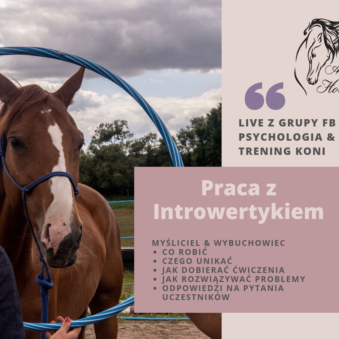 LIVE 2: Praca z Introwertykami