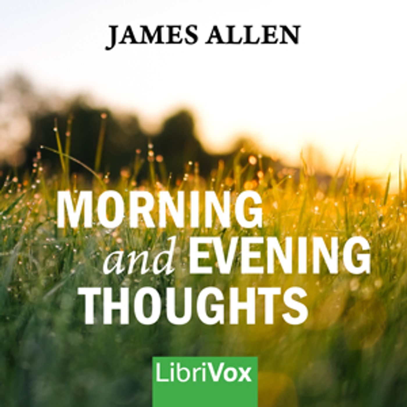 Morning and Evening Thoughts by James Allen (1864 - 1912)