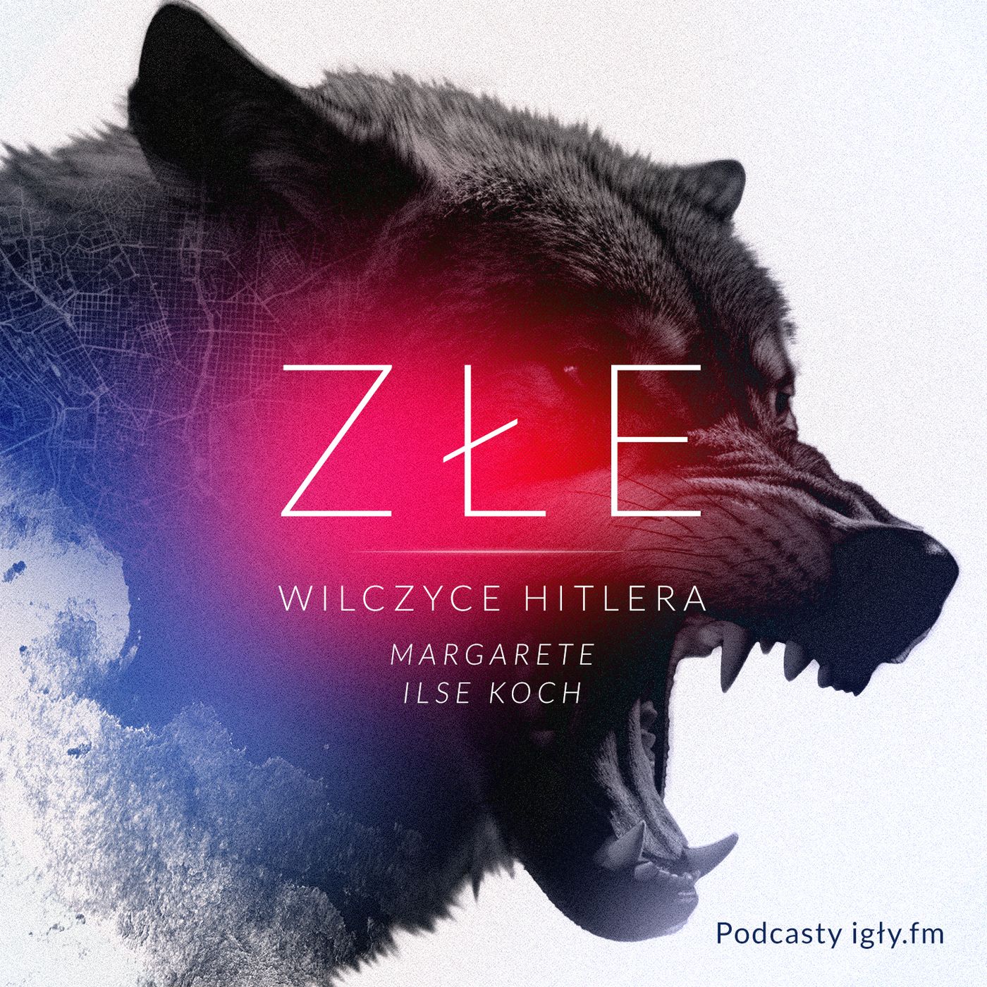 IGŁY FM