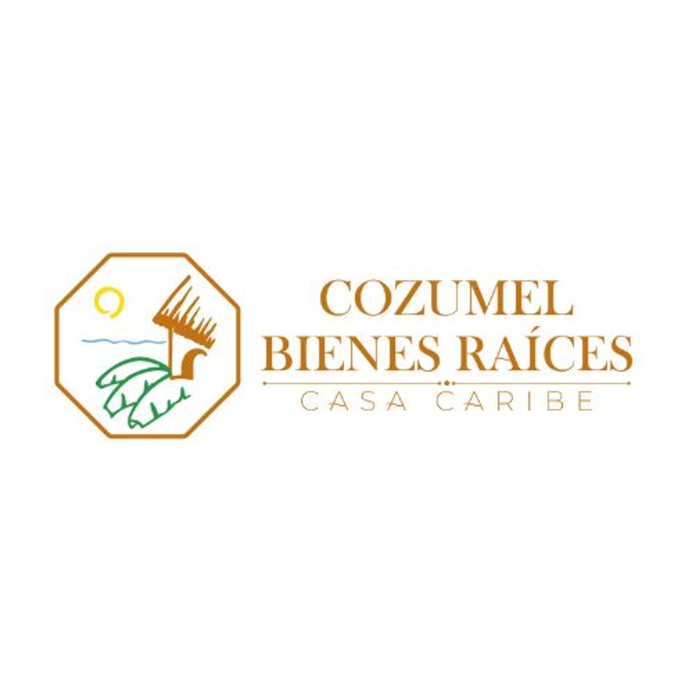 Cozumel Bienes Raices Casas Terrenos y D