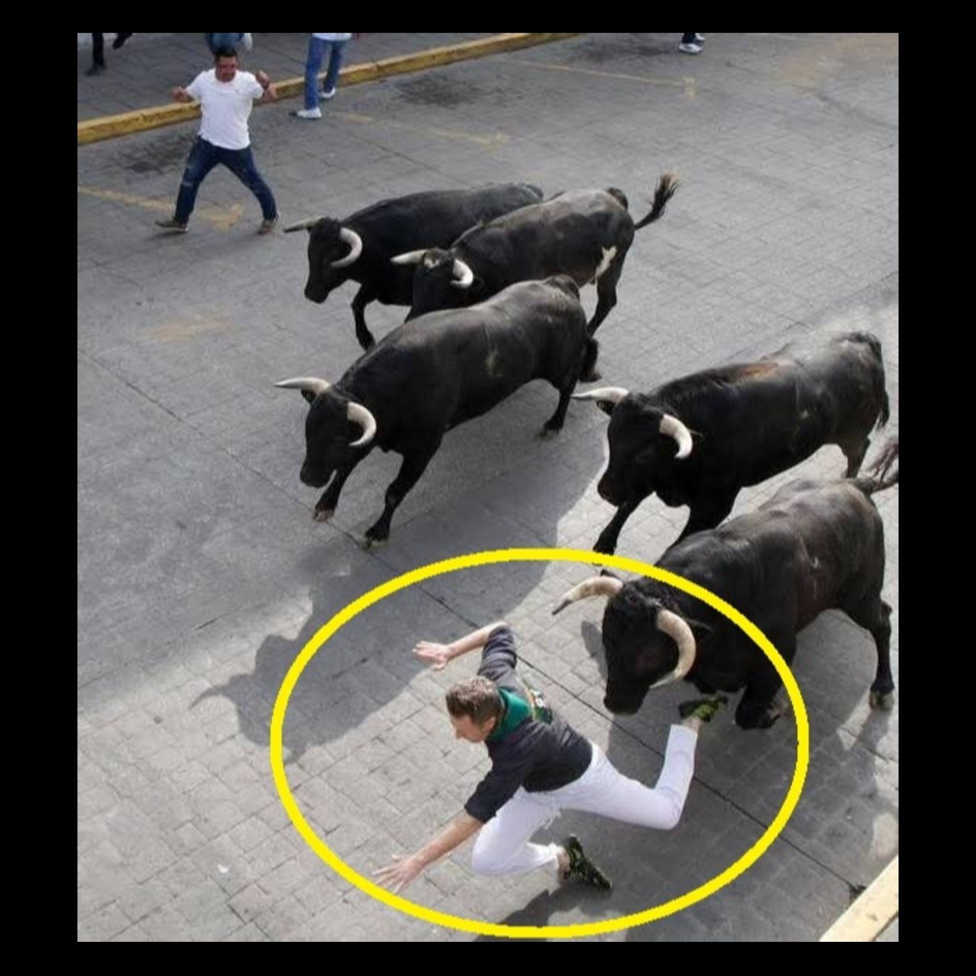 🟥 CIUDADANO ESTADUNIDENSE RESULTA LESIONADO DURANTE ENCIERRO DE TOROS TIPO PAMPLONA EN HUAMANTLA 🐂⚠️🏥 episode artwork
