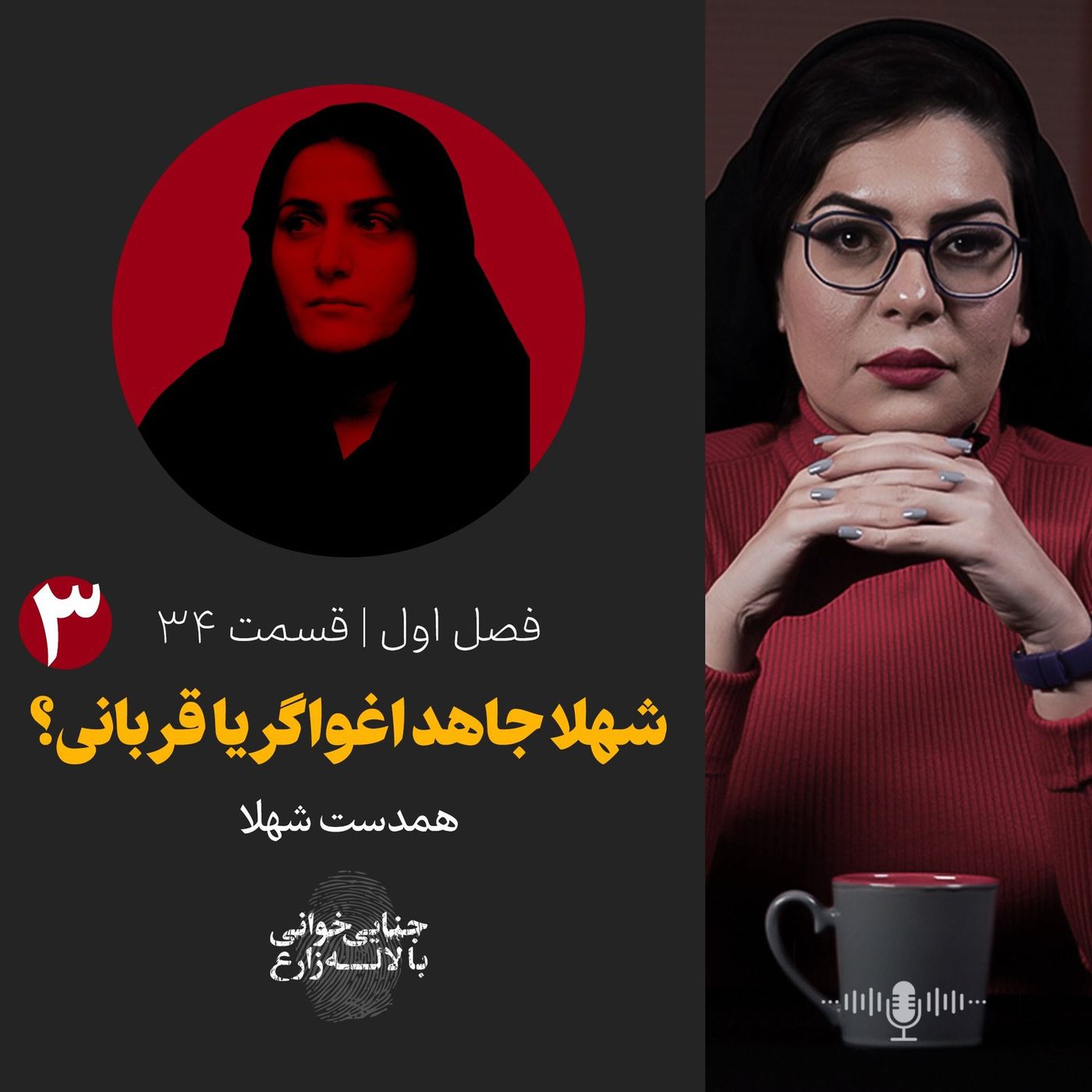 قسمت ۳۴ | پرونده شهلا جاهد و ناصر محمدخانی - قسمت سوم