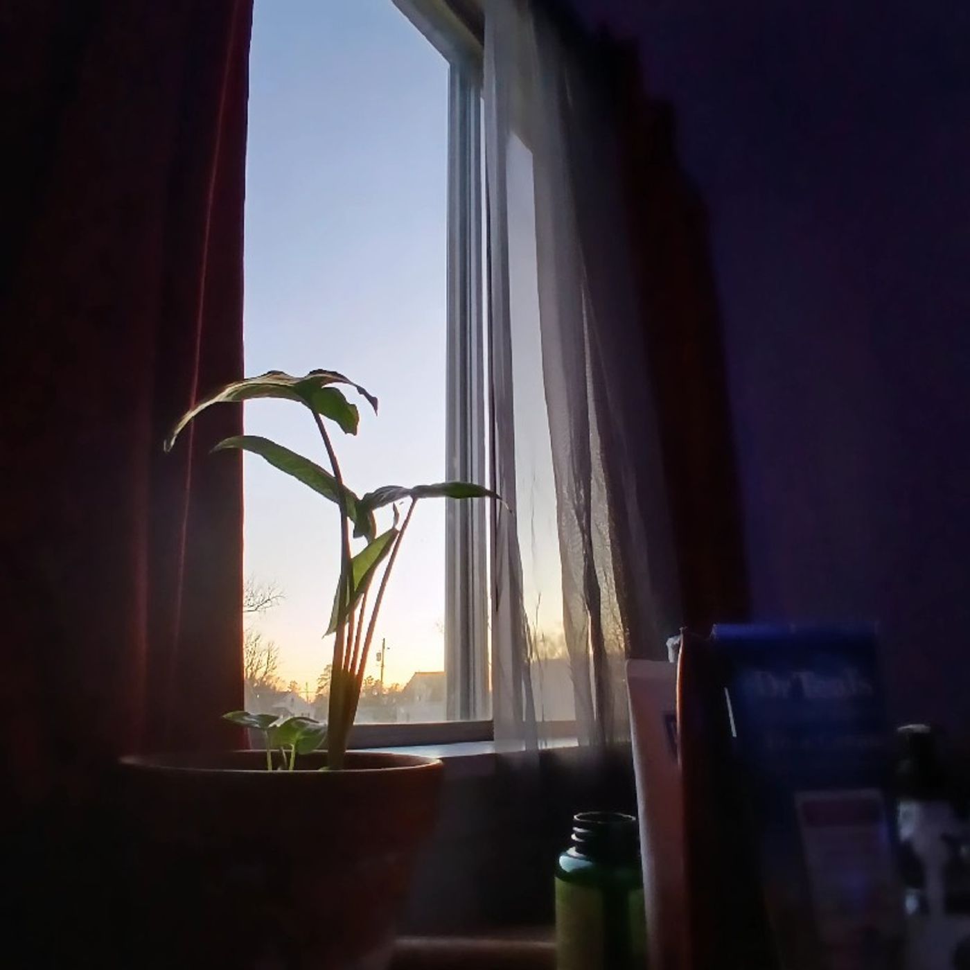 Episode 2 -SMOOTH MUSIC 🎵