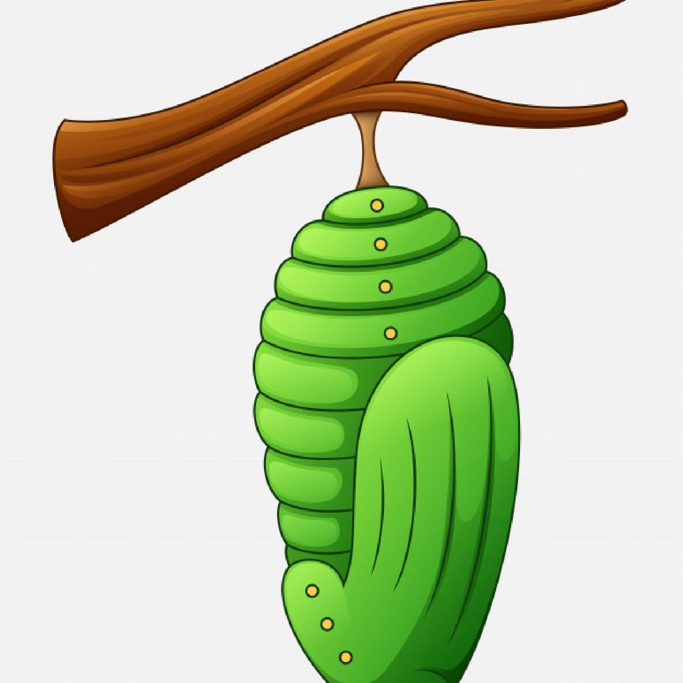 Hora do Casulo