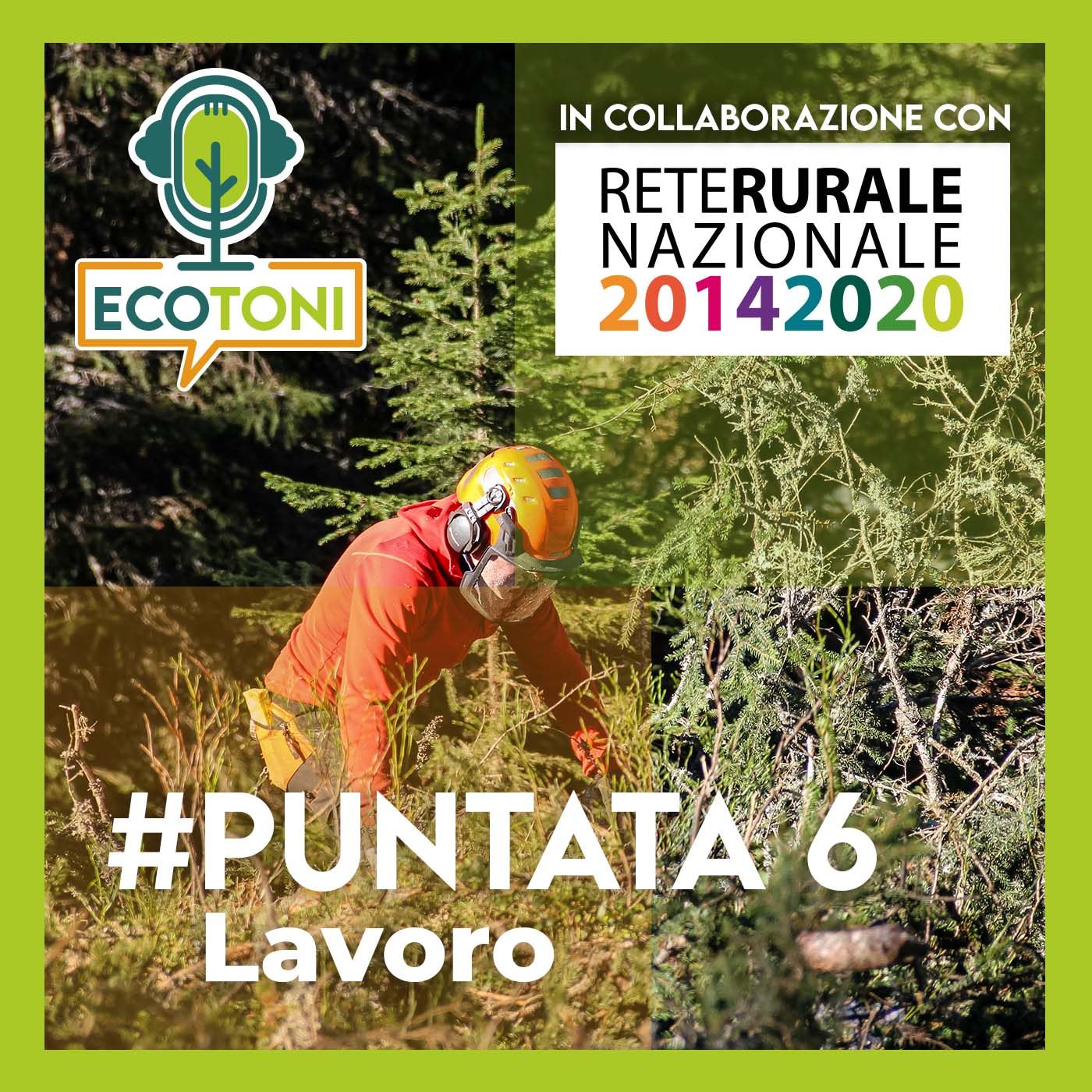 ECOTONI