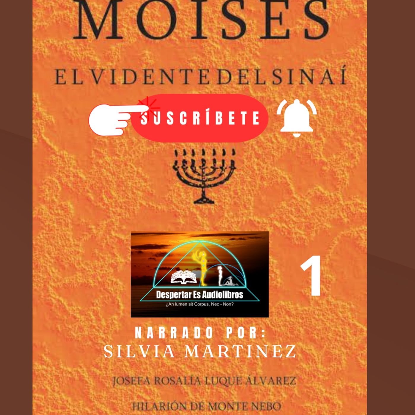 La Voz Interior. Silvia Martínez1