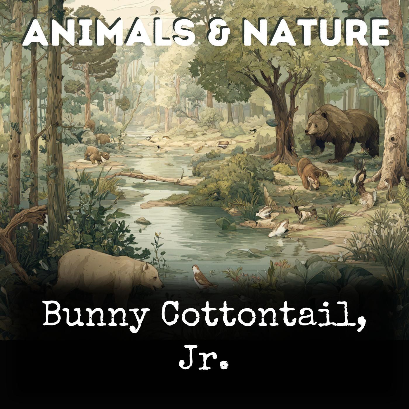 Bunny Cottontail, Jr. cover art