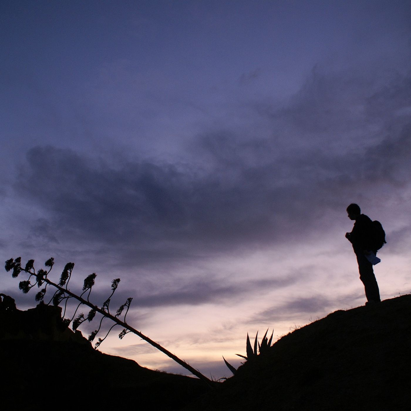Unleashing Your Potential