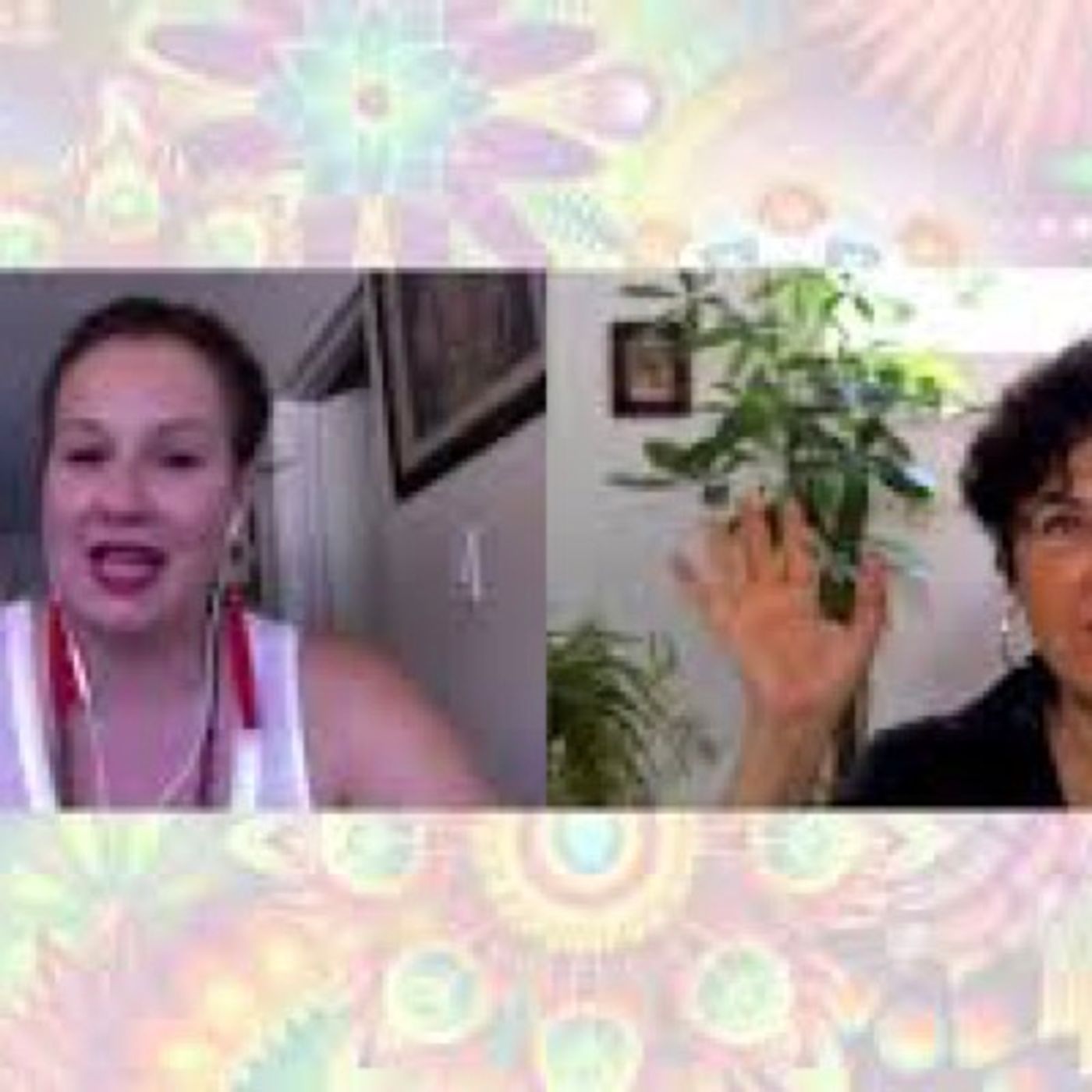 Maria Felipe\'s Show