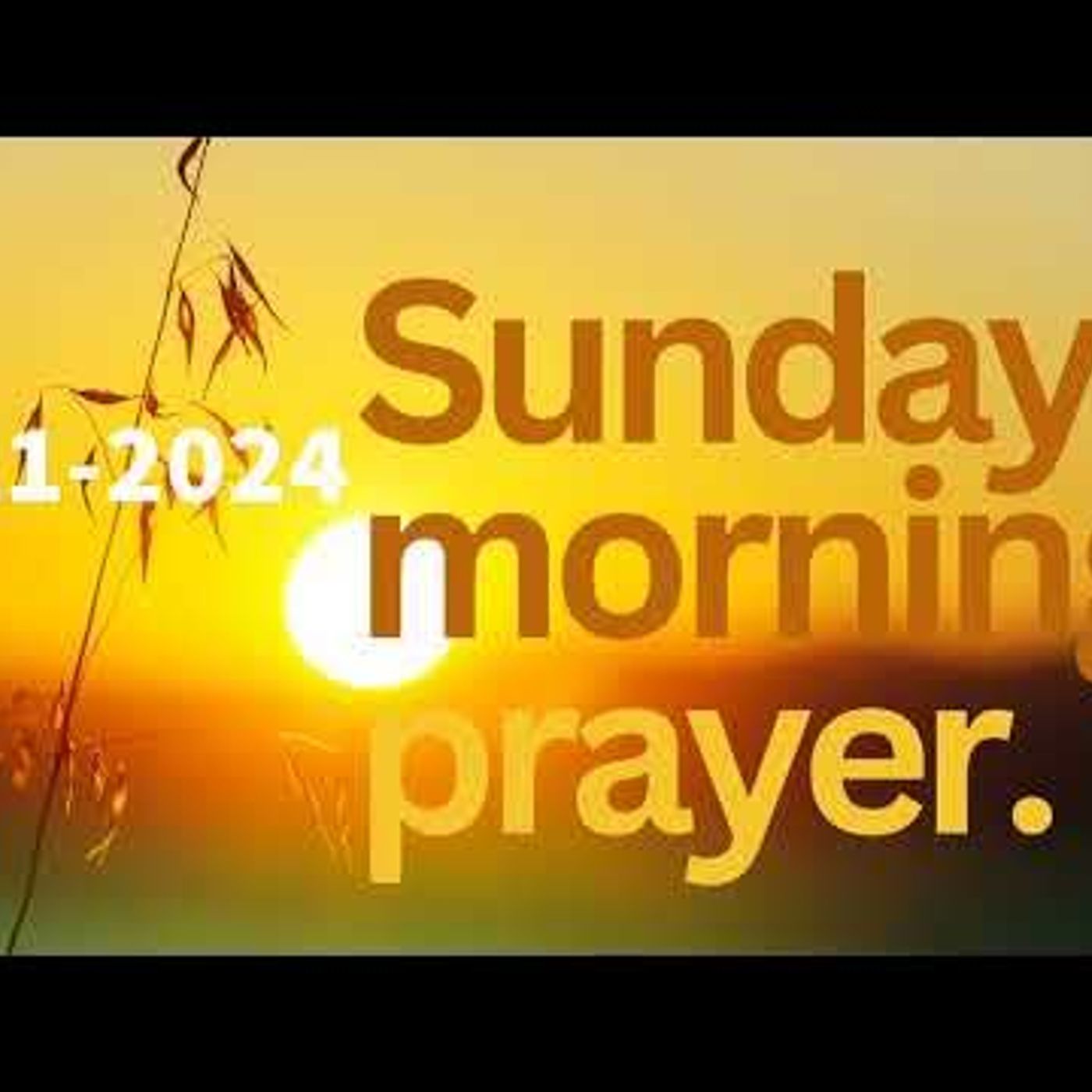 PT&HC Sunday Morning Prayer Call (Francisco Javier) July 21, 2024 episode artwork