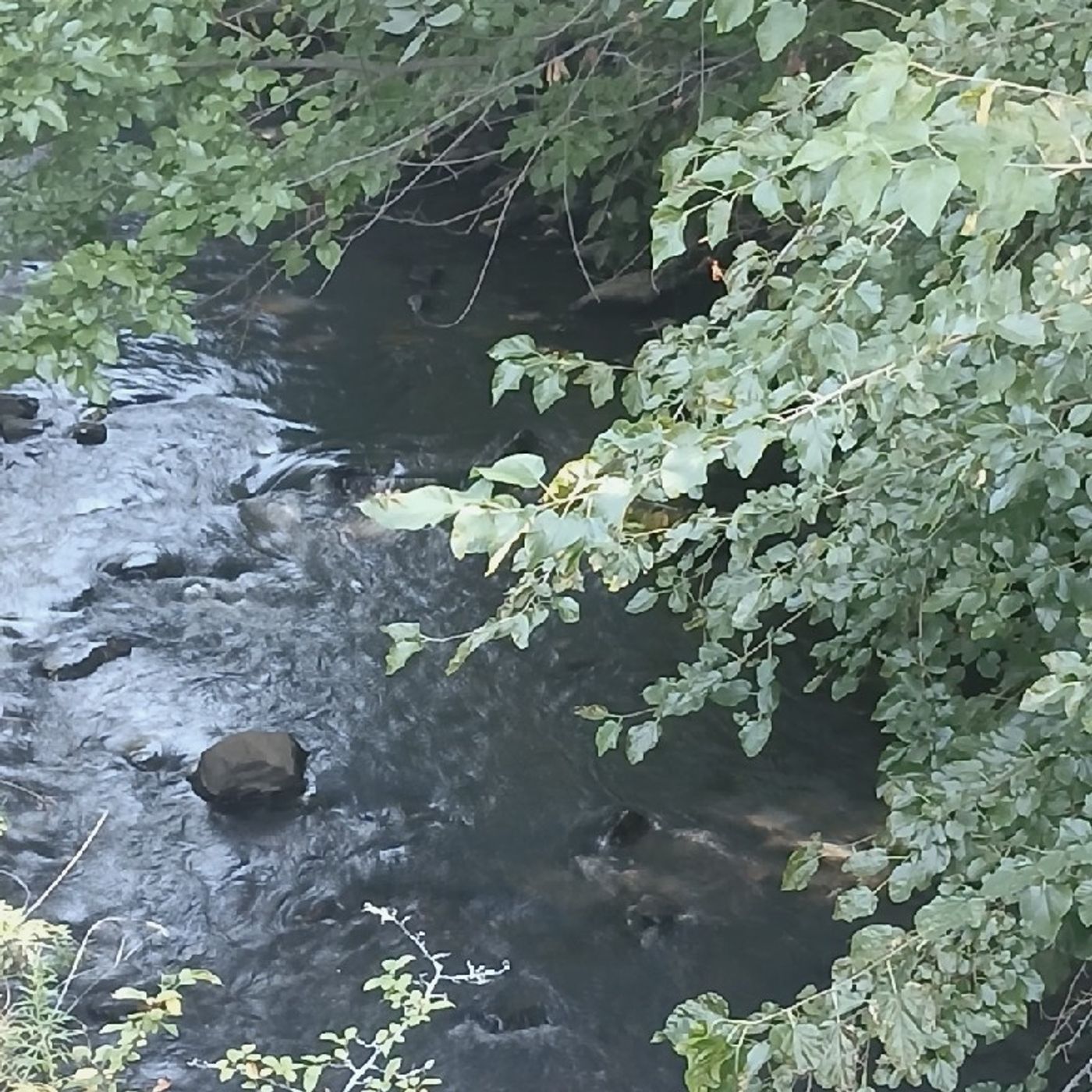 Heart fire & Cunning Will\'s podcast