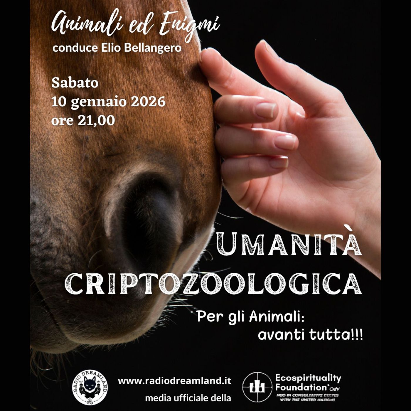 Umanità criptozoologica! episode artwork