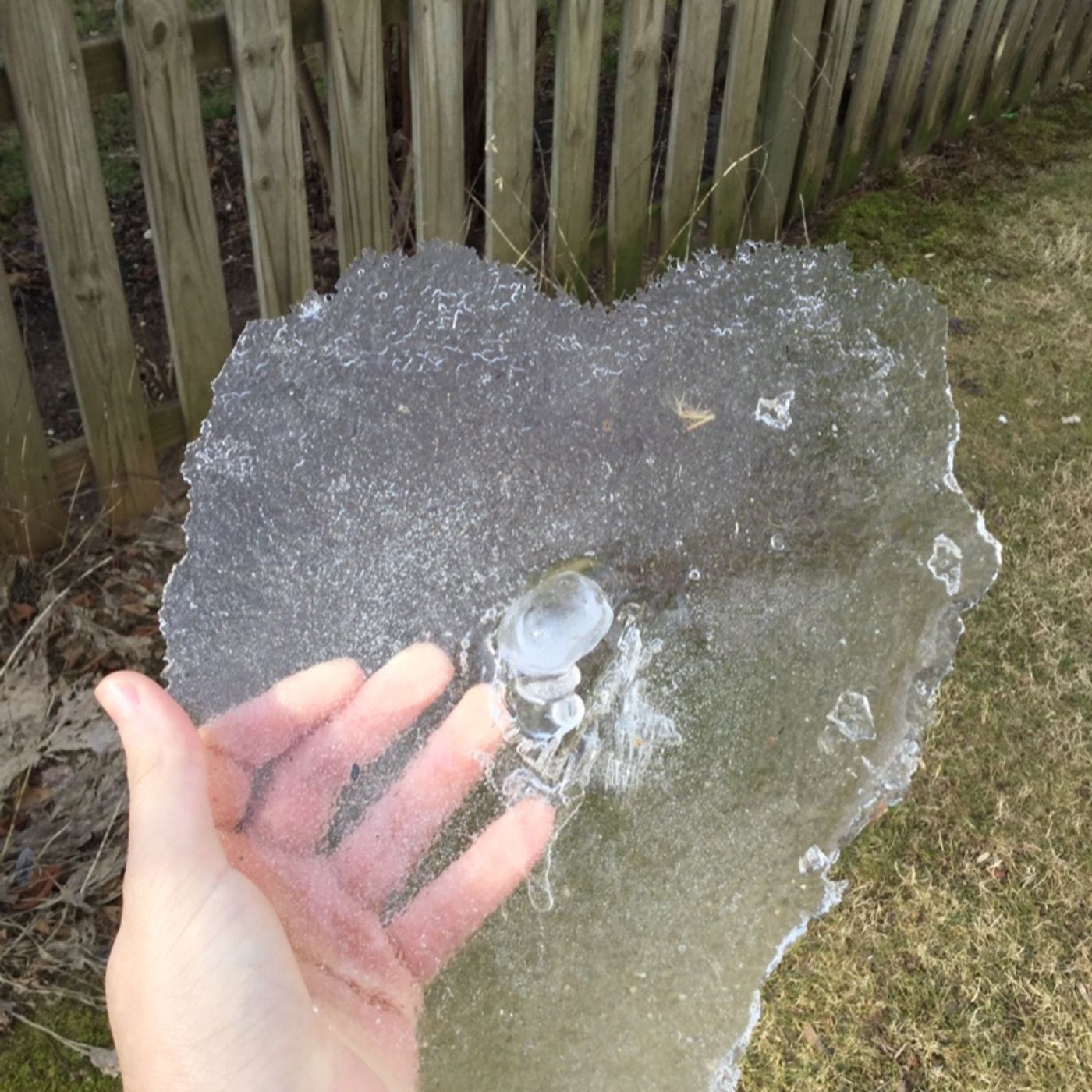 Fun Time With Sheen Rebitz