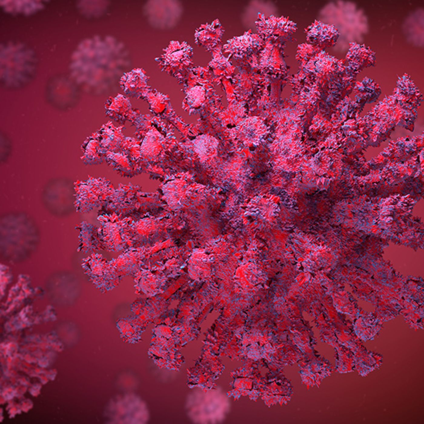 Episode 31: New coronavirus cases in Florida down 75% since January episode artwork