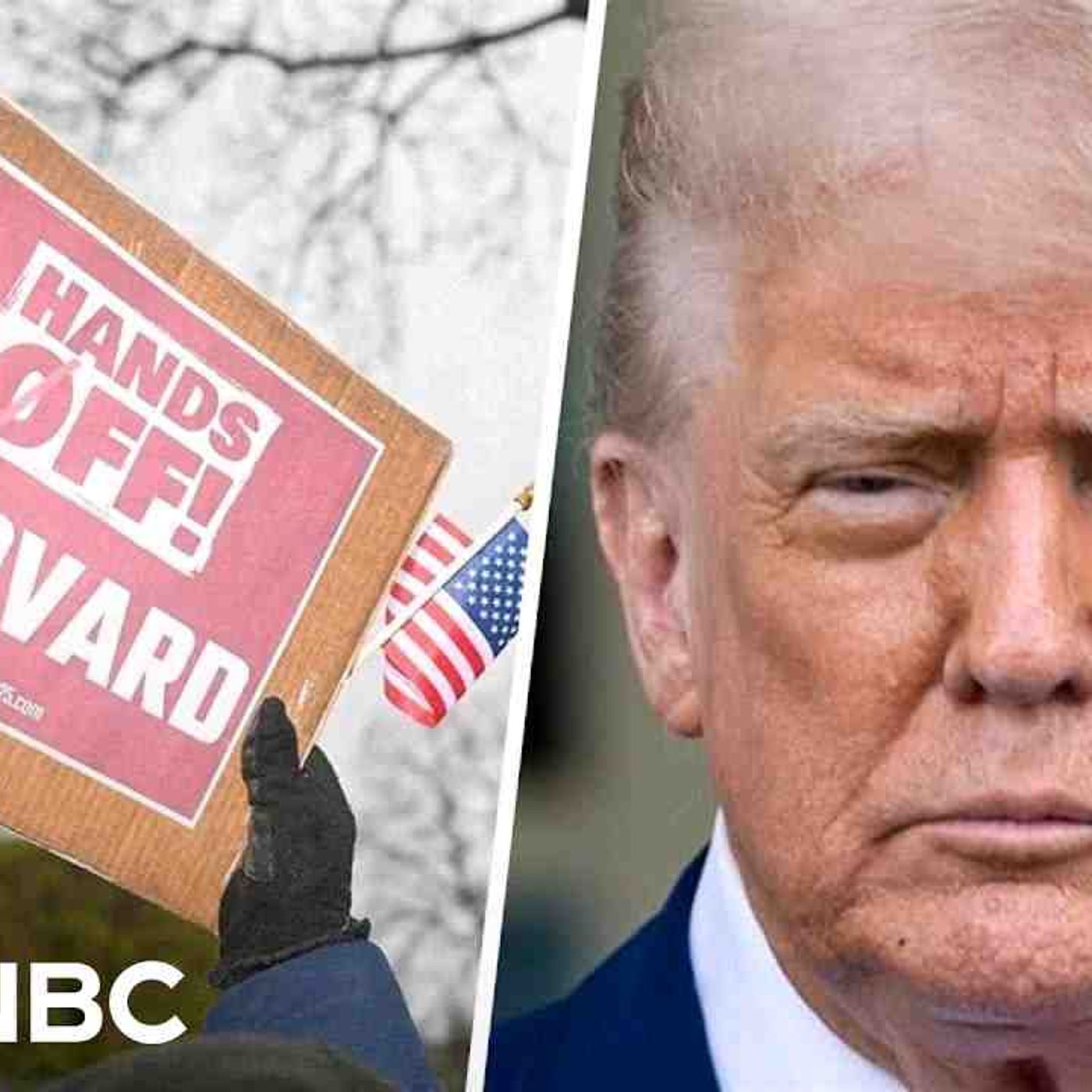 Trump vs. Harvard_ Why admin_s crackdown will have _trickle-down_ effect on higher education(MP3_160K) episode artwork