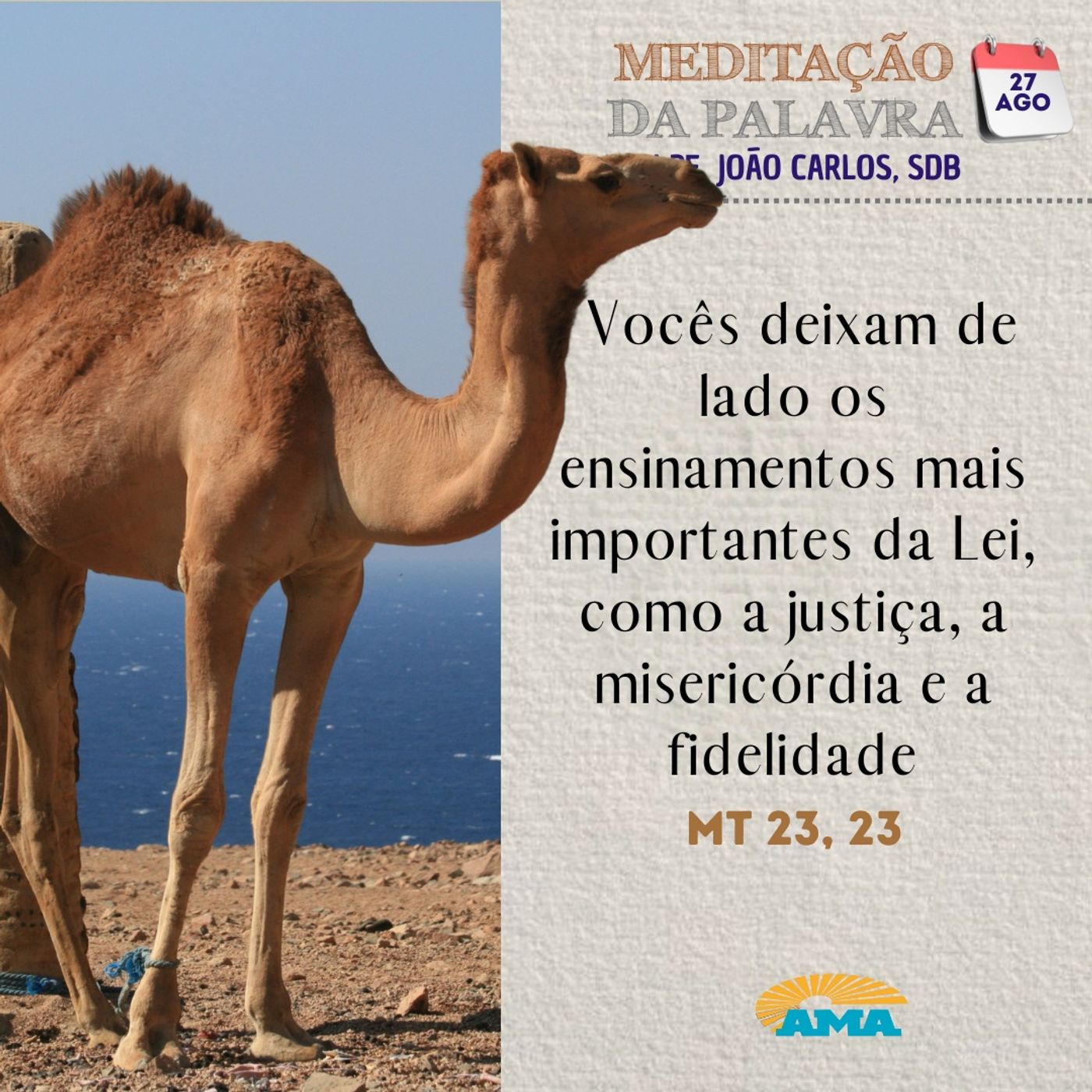 27 de agosto de 2024 - Meditação da Palavra do Senhor