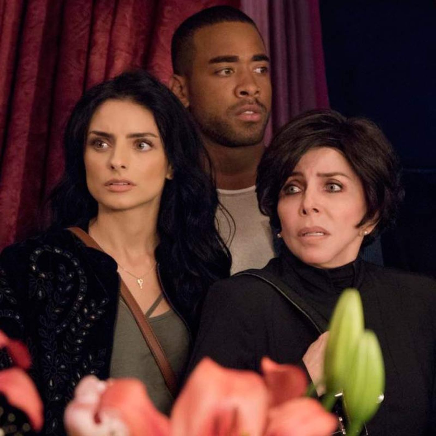 El furor de "La casa de las flores" episode artwork