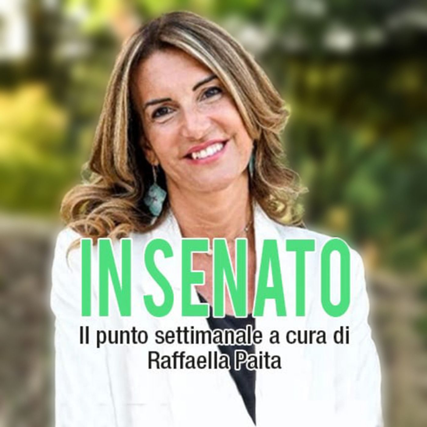 In Senato - Il punto Di Raffaella Paita podcast artwork