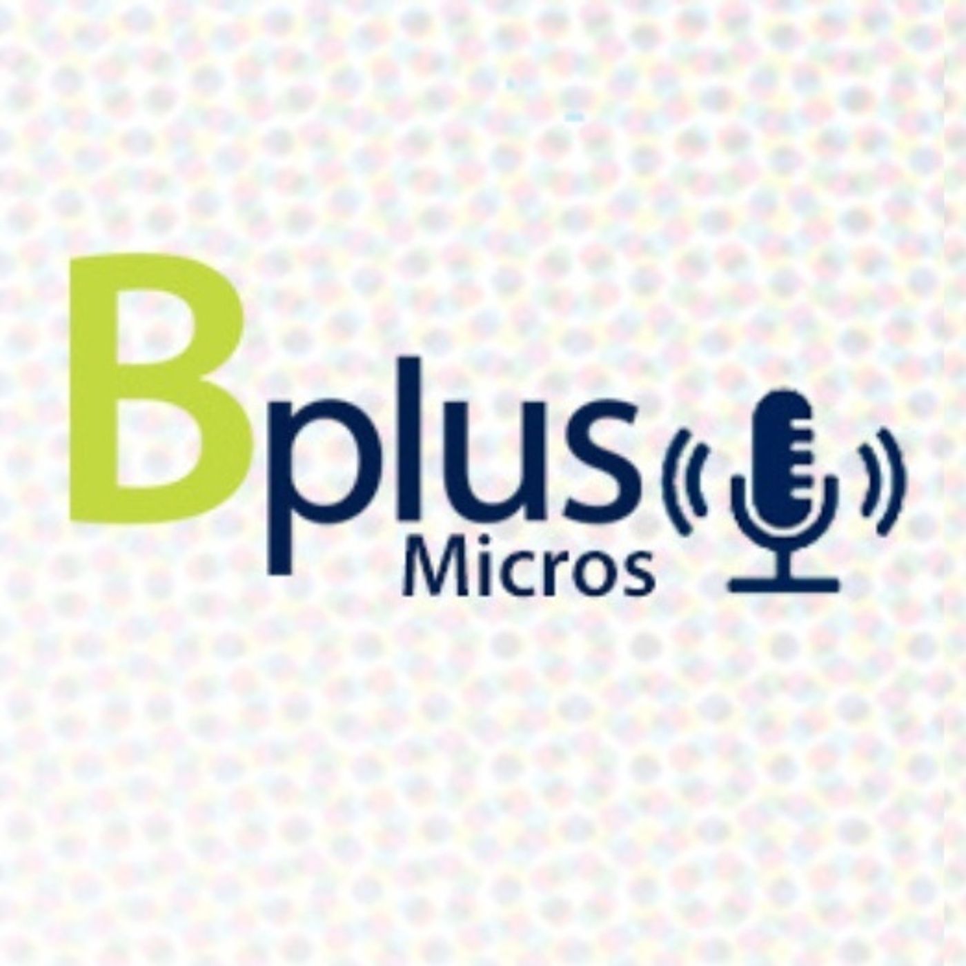 Micros Financieros Bplus