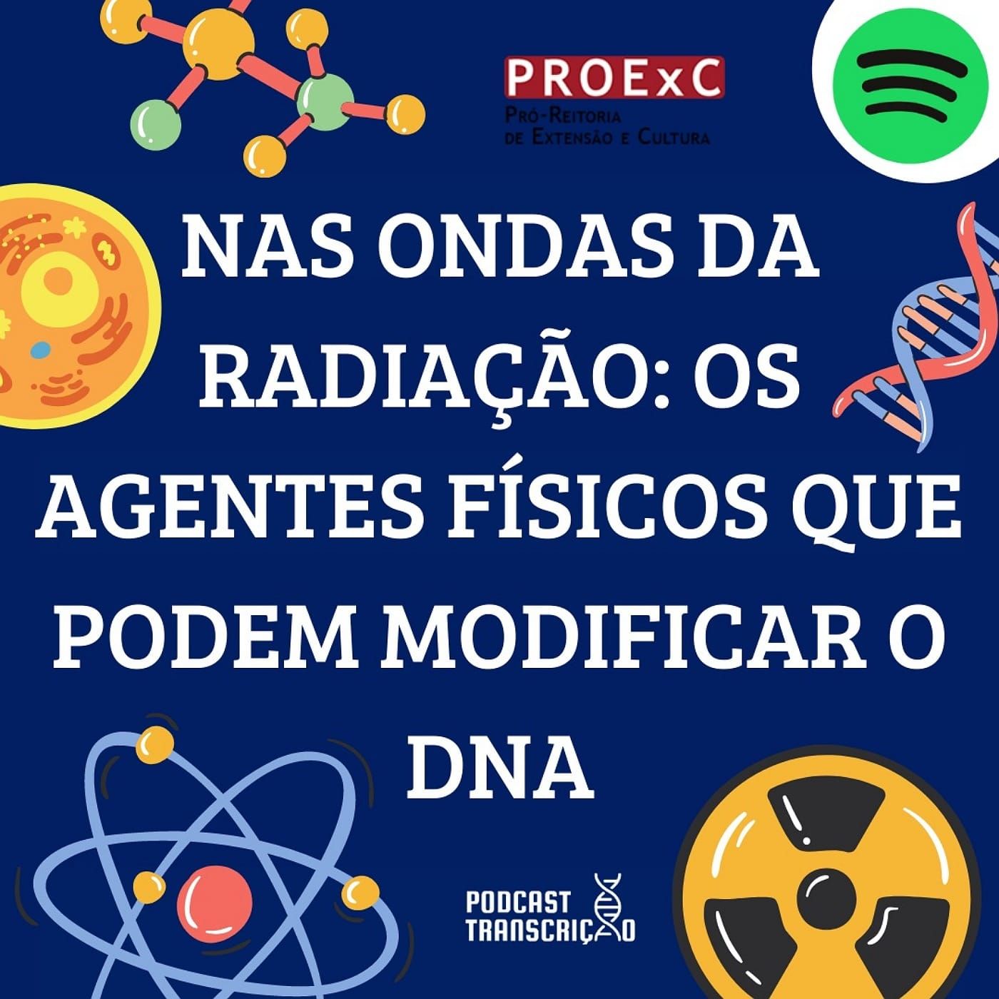 Podcast Transcrição