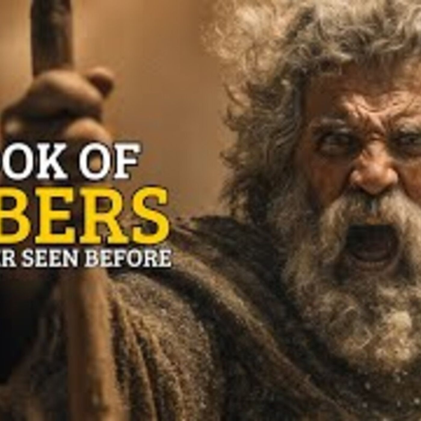 The Story of the Book of Numbers Like You_ve Never Seen Before