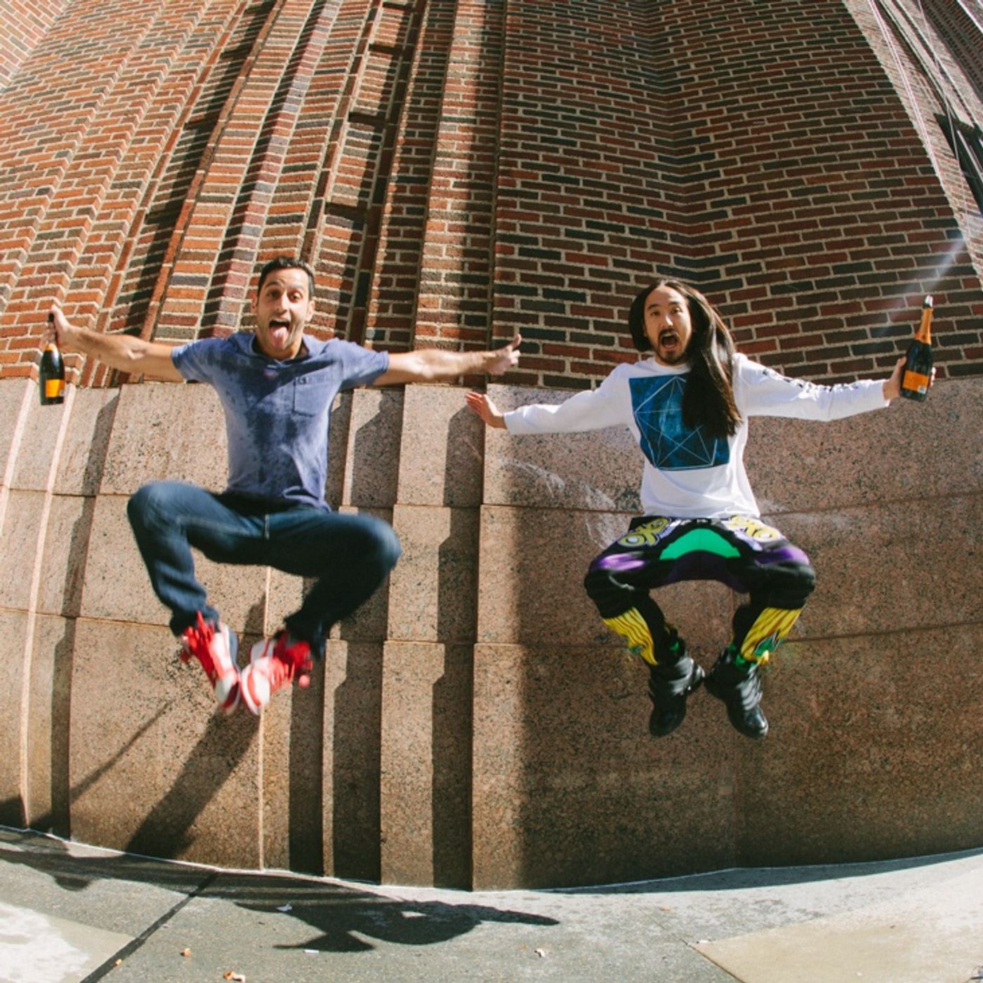 Steve Aoki And Mike Shinoda episode artwork