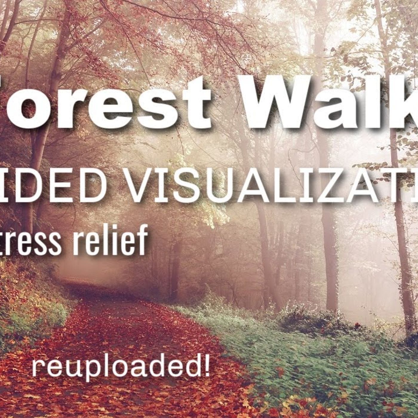 FOREST WALK Guided Visualization for Stress Relief (reuploaded) _original recording from 2014__ 😝(M4A_128K)