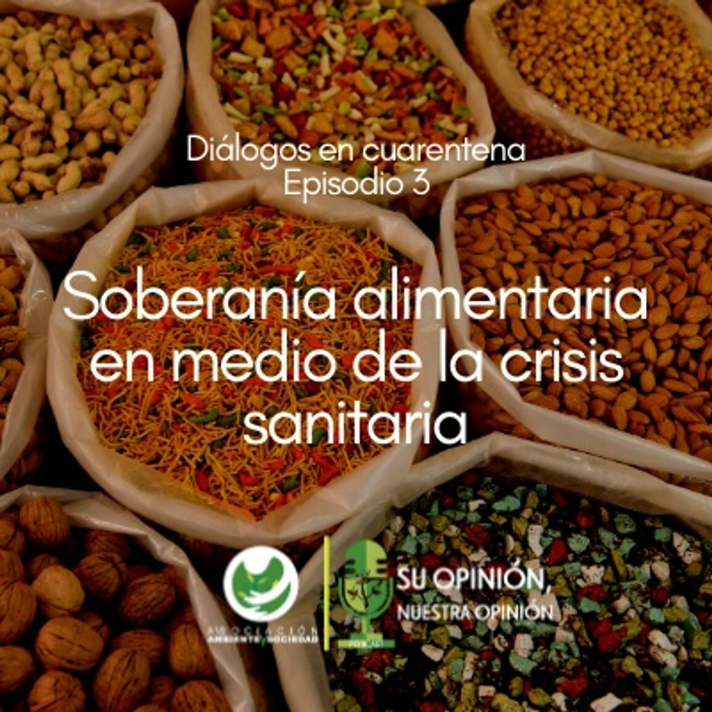Ambiente y Sociedad