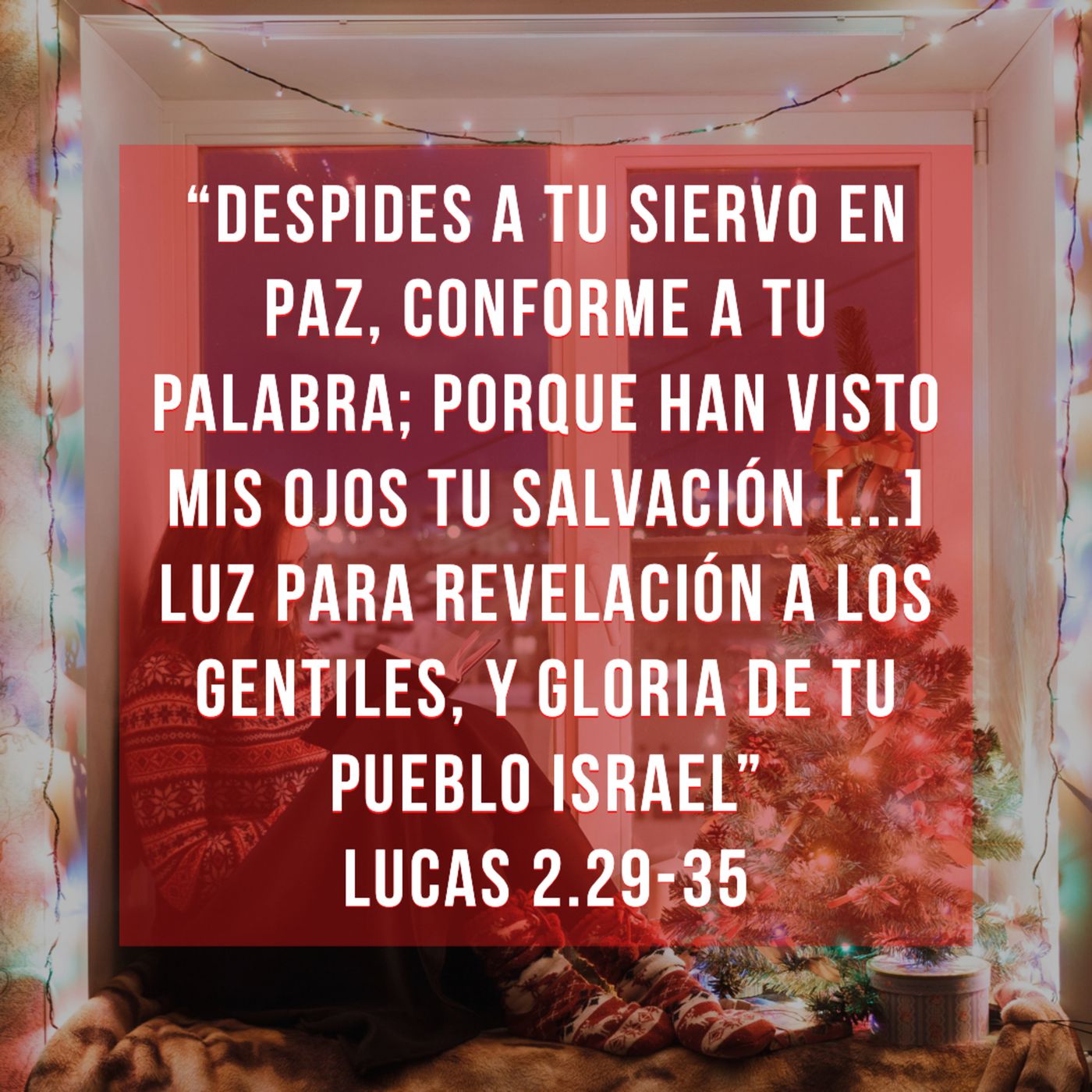 Reflexiones