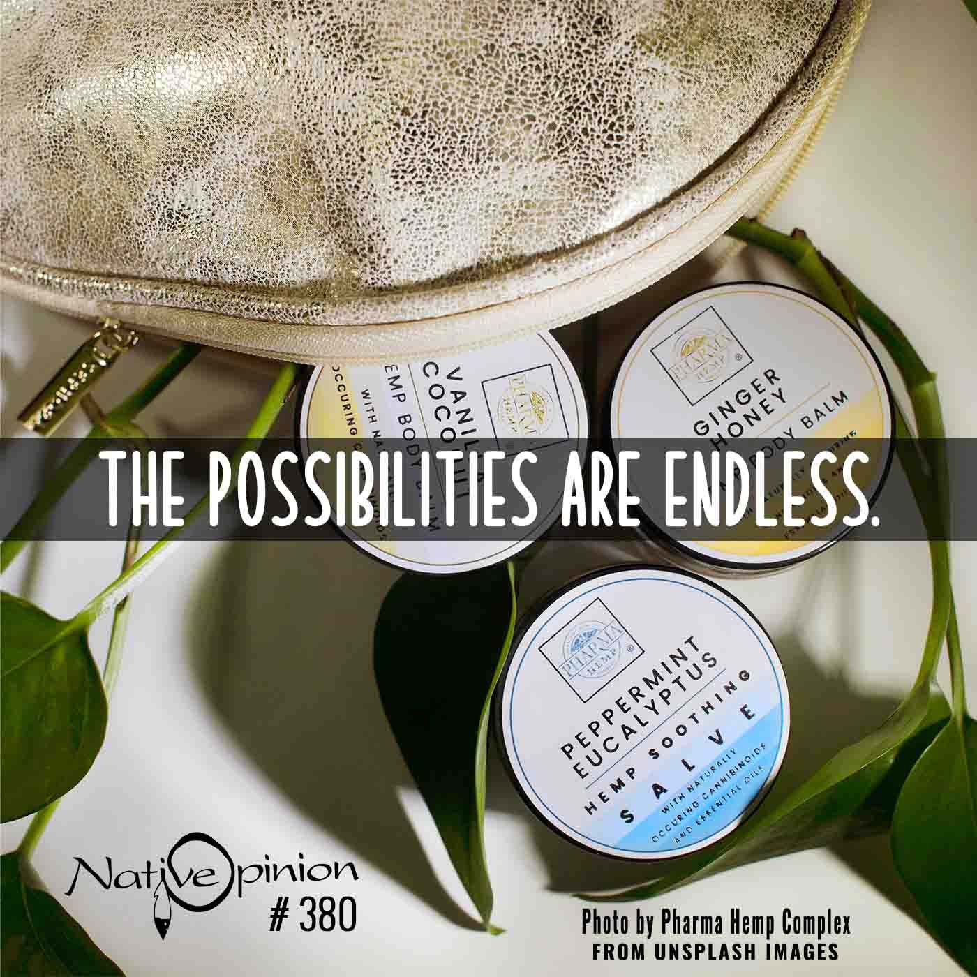 EPISODE 380  "The Possibilities are Endless." - podcast episode cover