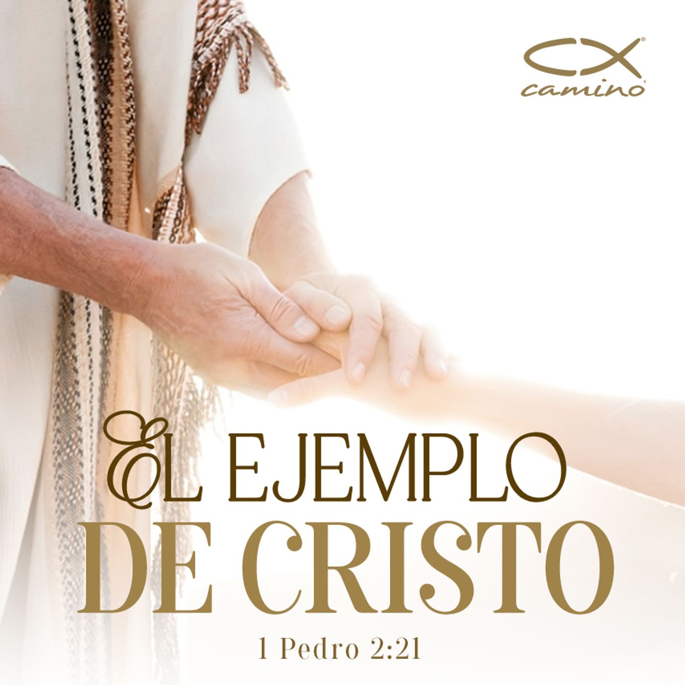 Oración 29 de enero (El Ejemplo de Cristo) episode artwork