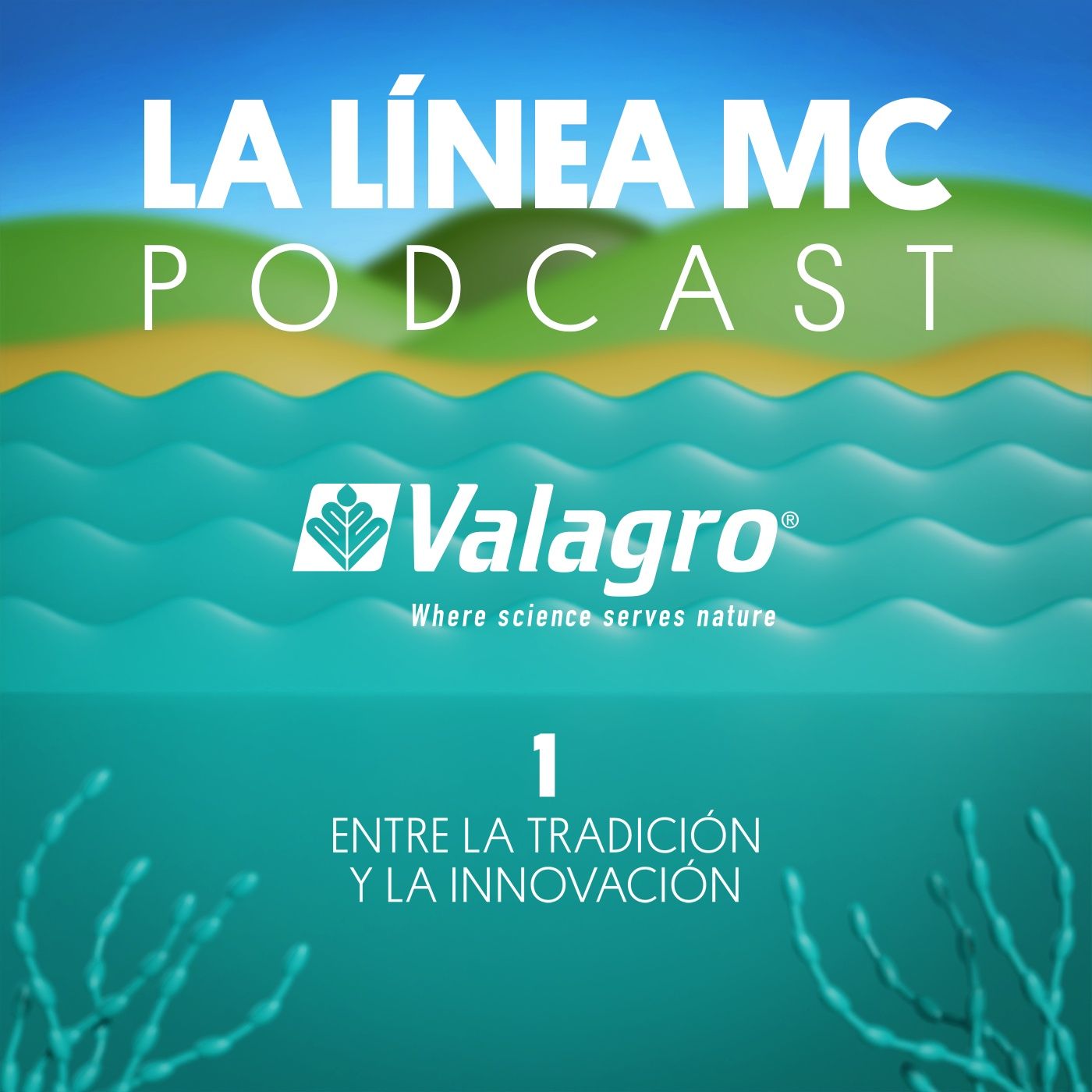01. Entre la tradición y la innovación