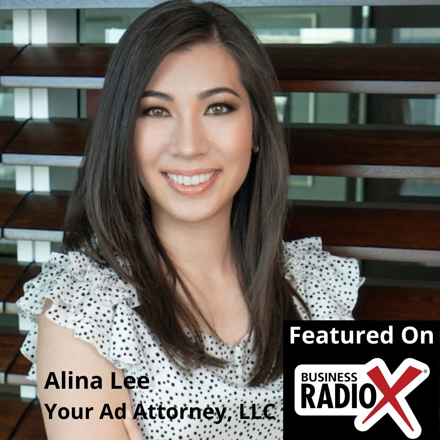 Alina Lee, Your Ad Attorney episode artwork