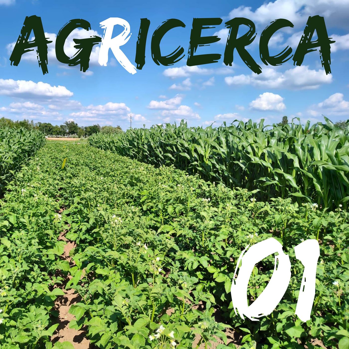 agRicerca