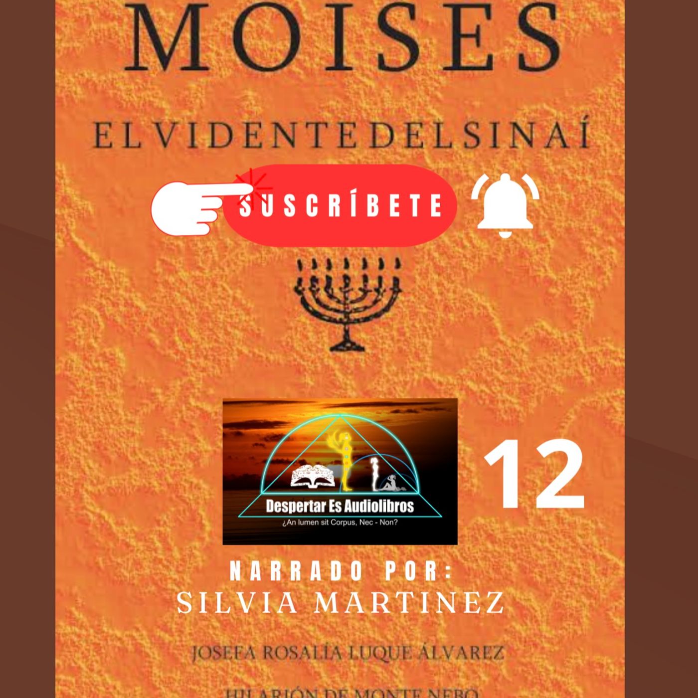 La Voz Interior. Silvia Martínez1