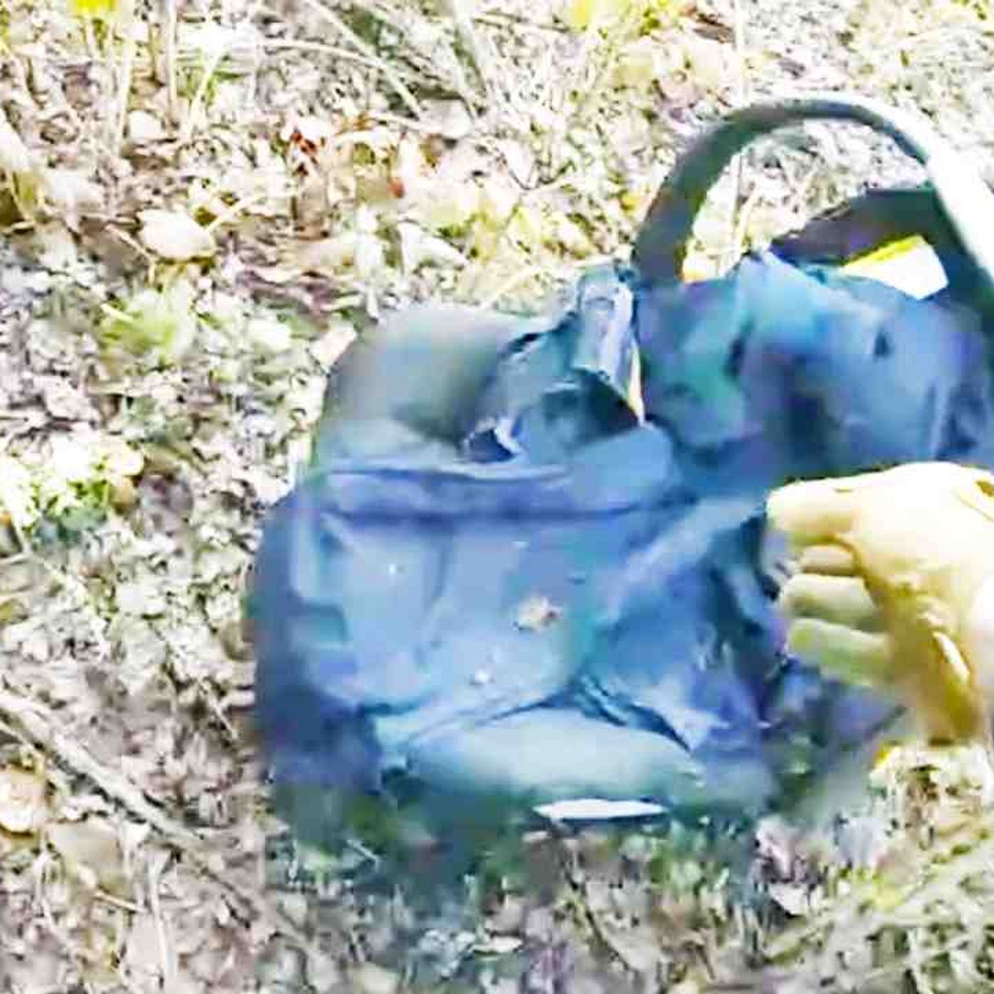 Cops Make Horrific Discovery in Abandoned Car Seat episode artwork
