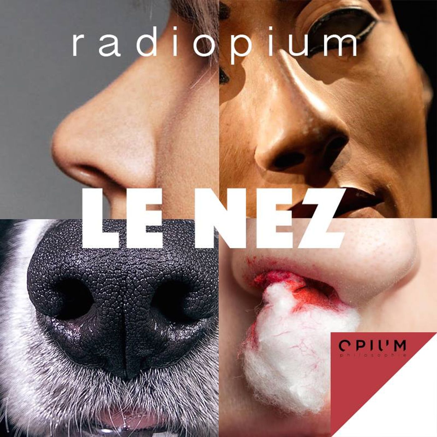 Episode 2 : Le nez