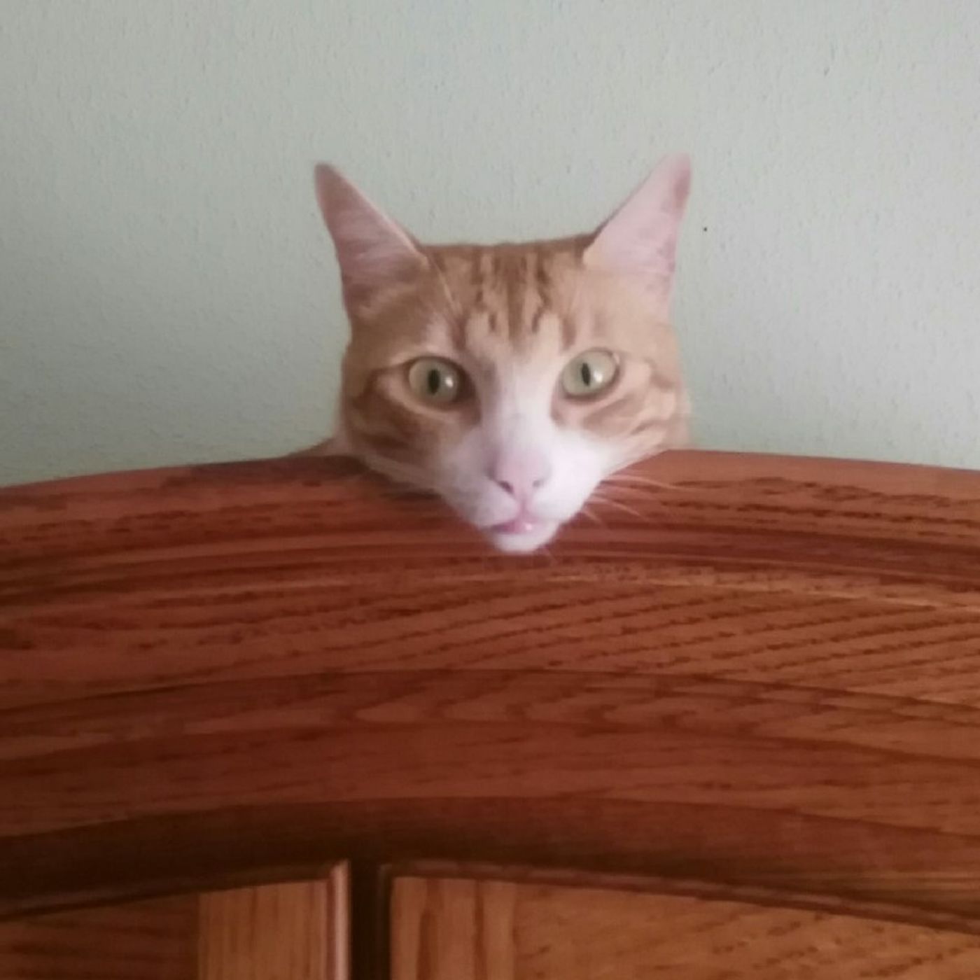 El show de Raul Martínez Hernández Clive