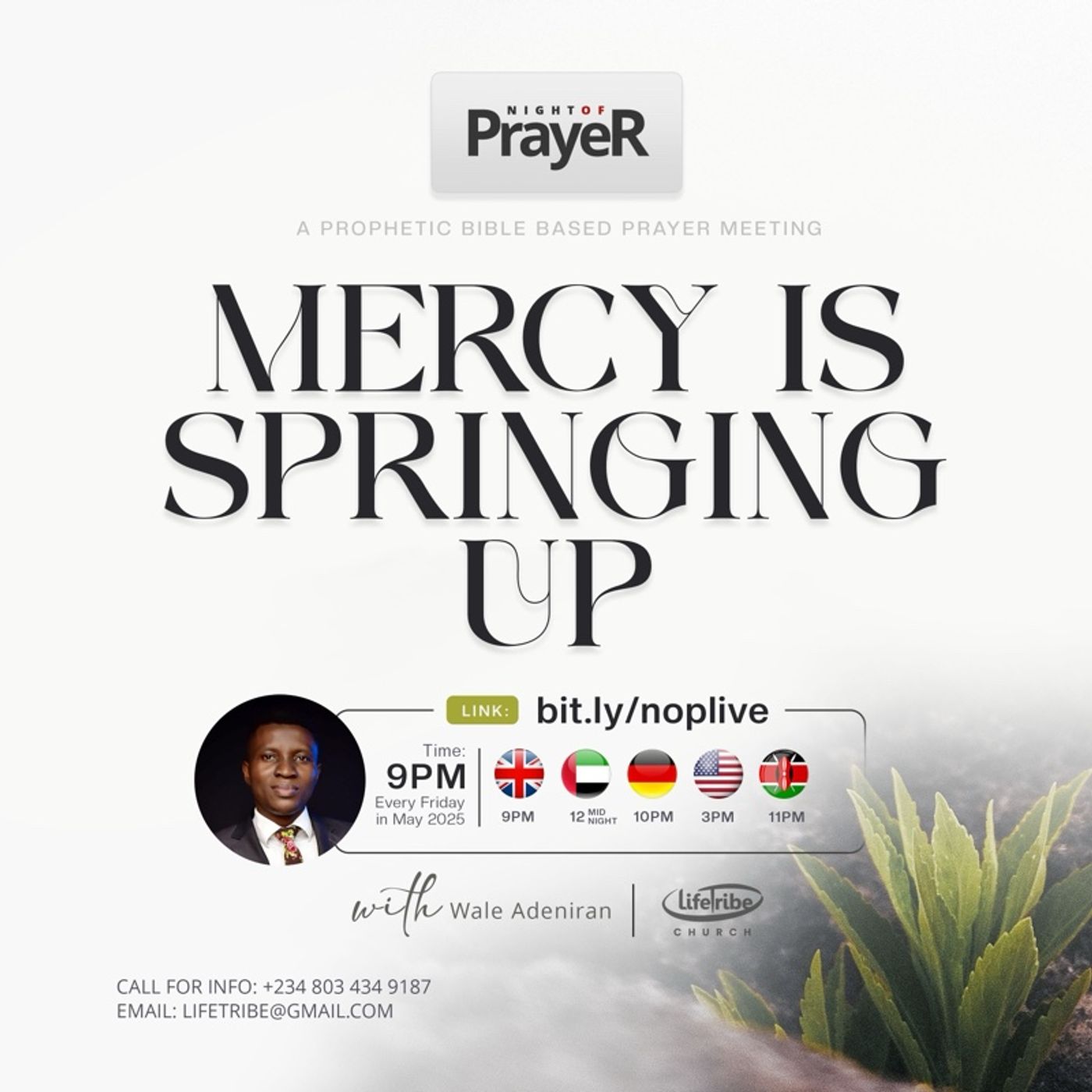 Mercy is Springing Up (Pt. 3)