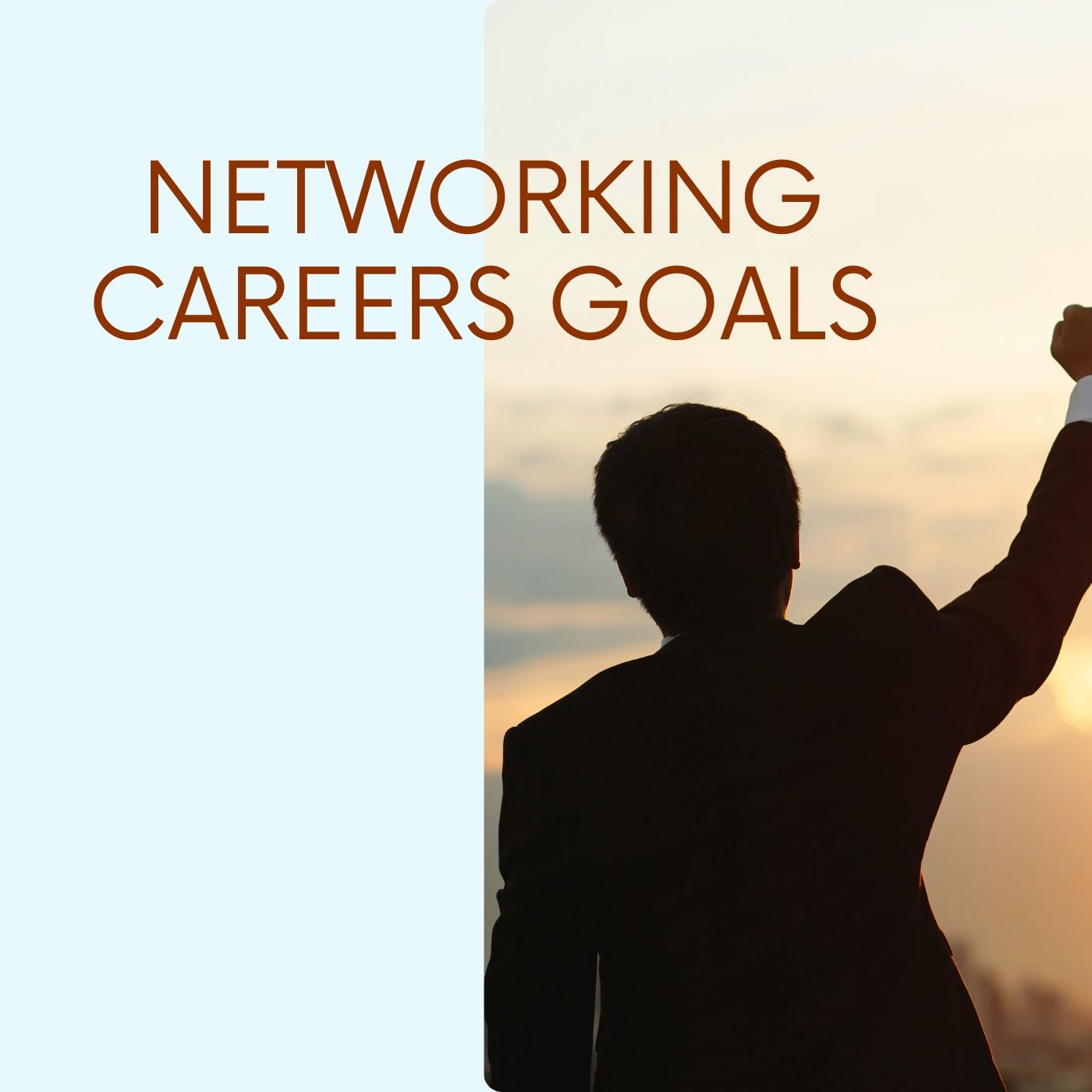 Networking Careers goals