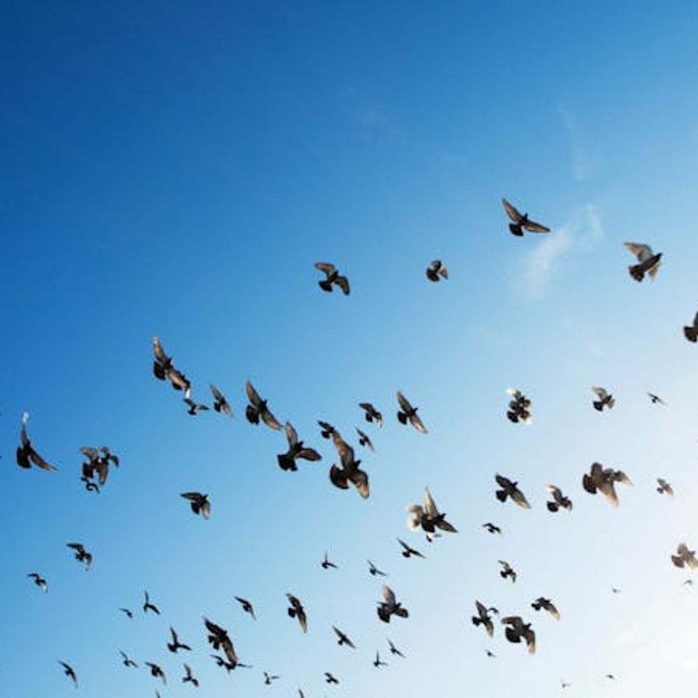 How Do I Pray Without Ceasing?