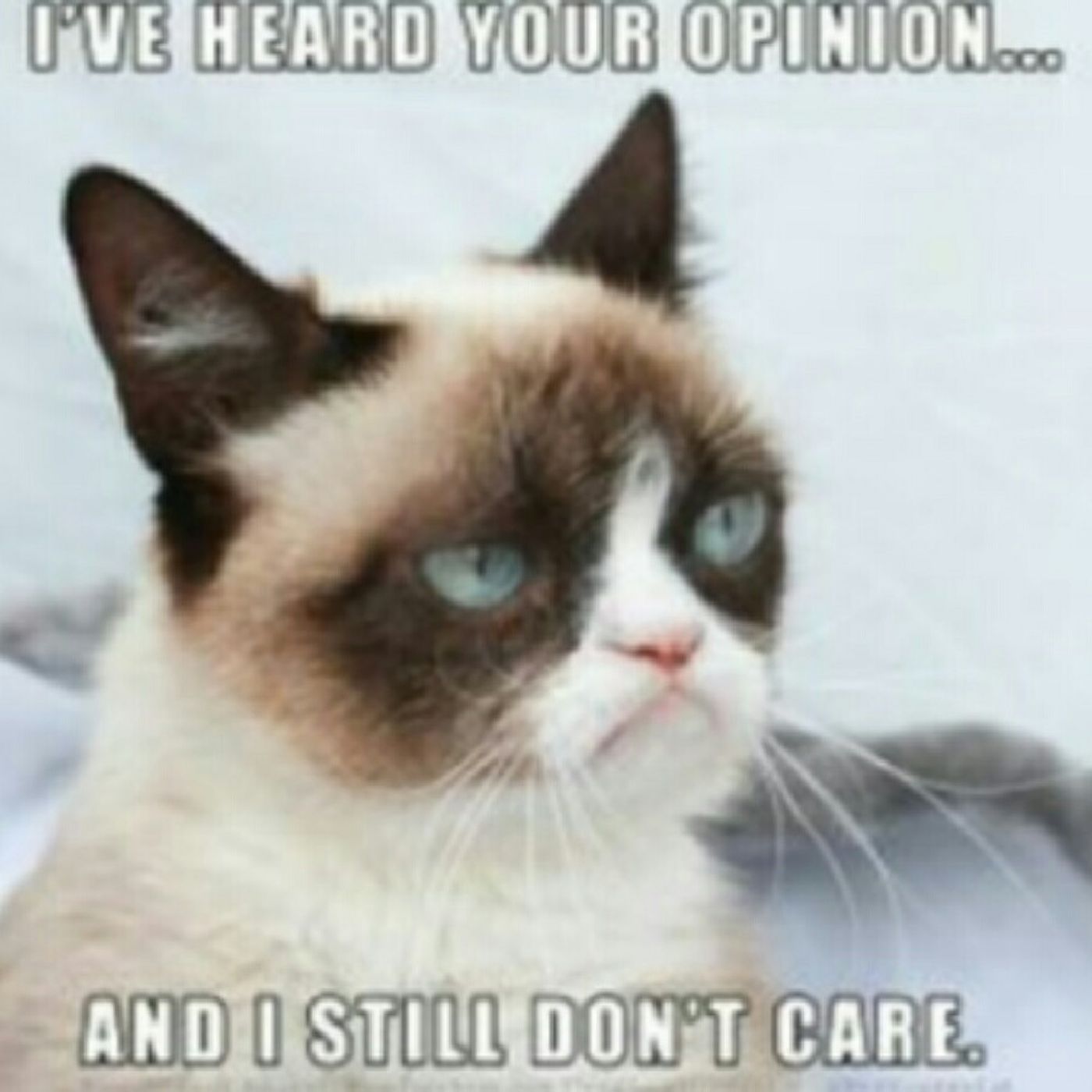 You Know What Annoys Me