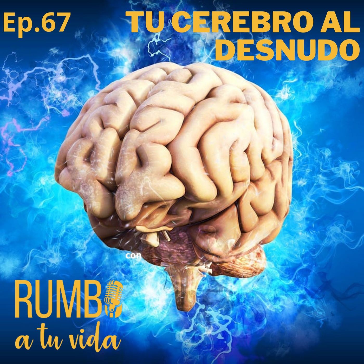 RUMBO A TU VIDA