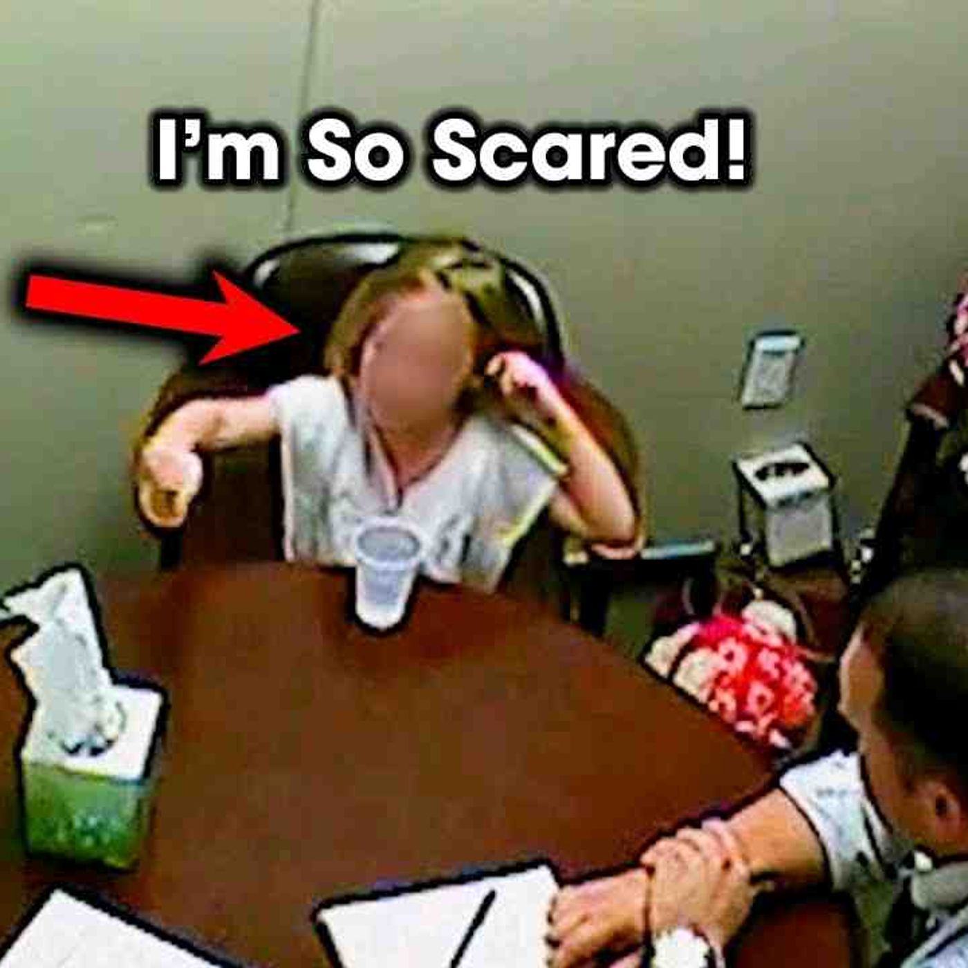 A 4-Year-Old Told Police What Really Happened Inside the House _ Police Interrogation True Crime episode artwork
